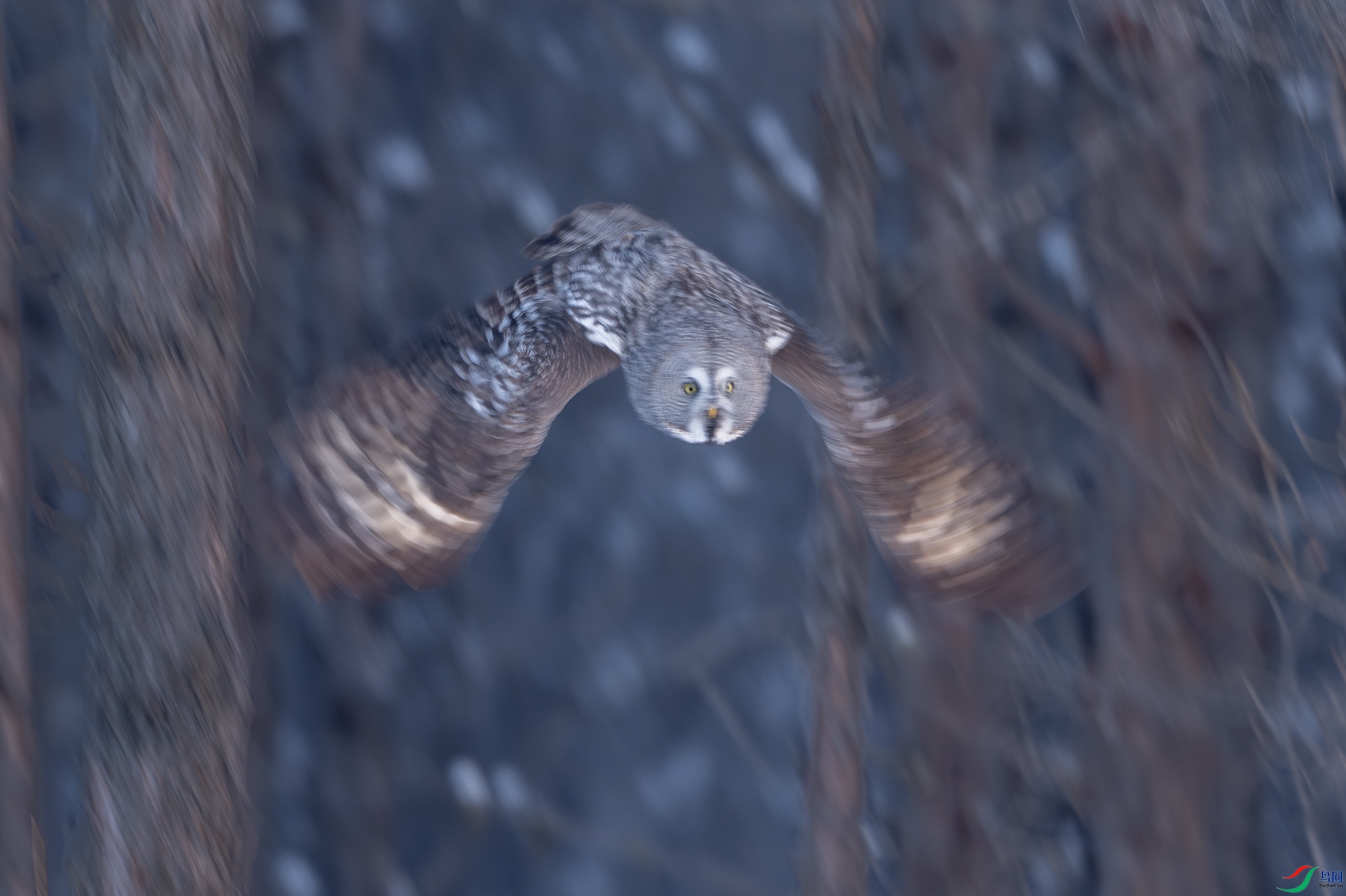 _DSC4737 ����С.jpg