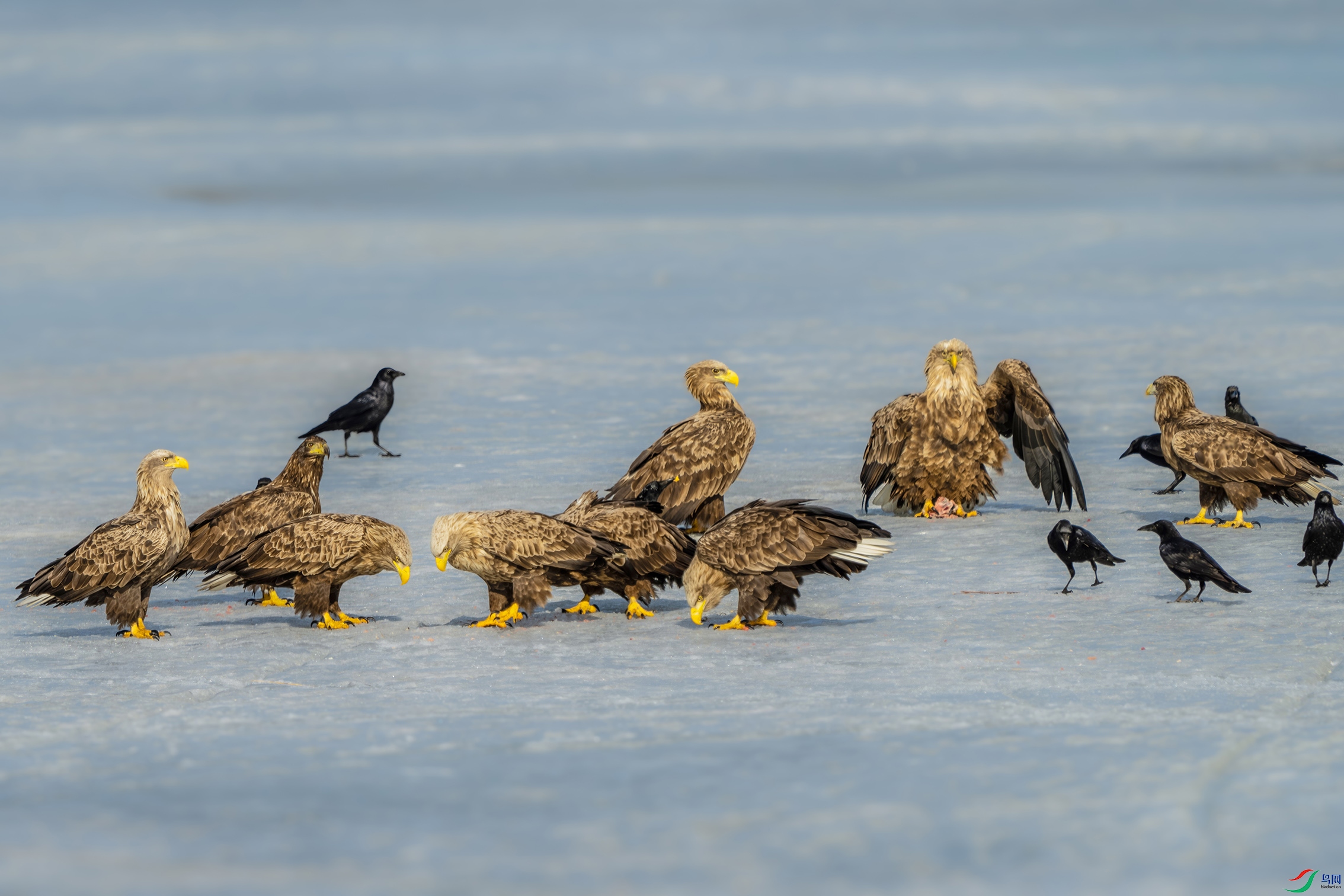 DSC001723-����ǿ-NR ����.jpg