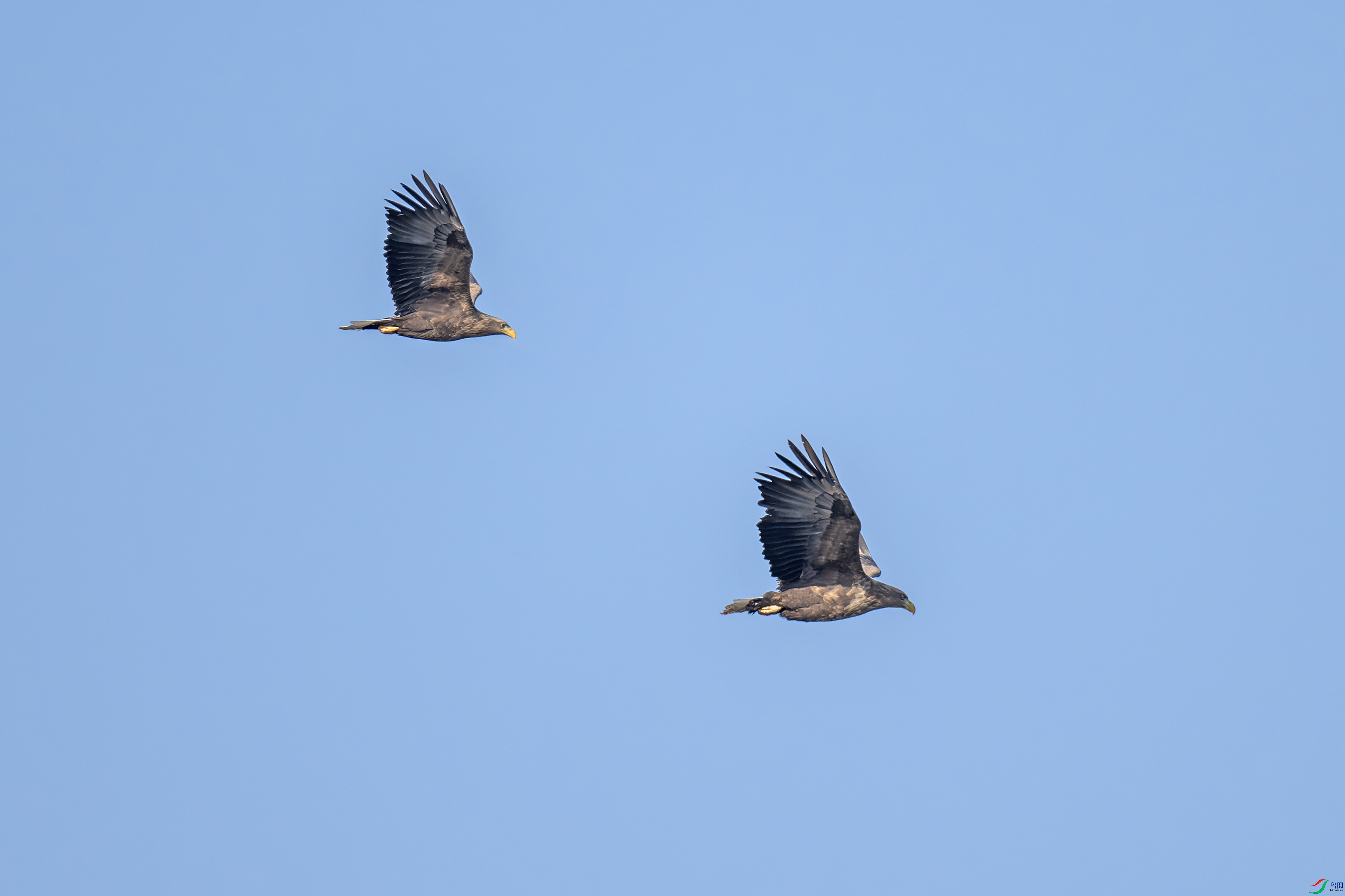 DSC_6507-����.jpg