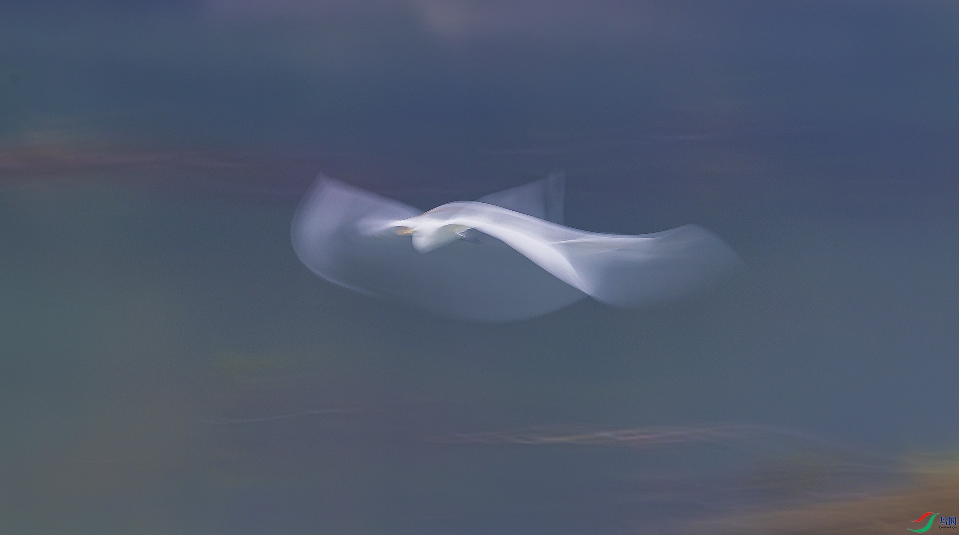 0Q2A2804.jpg