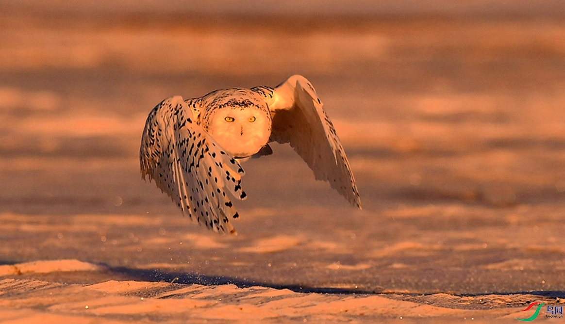 ��ԡ���⡣