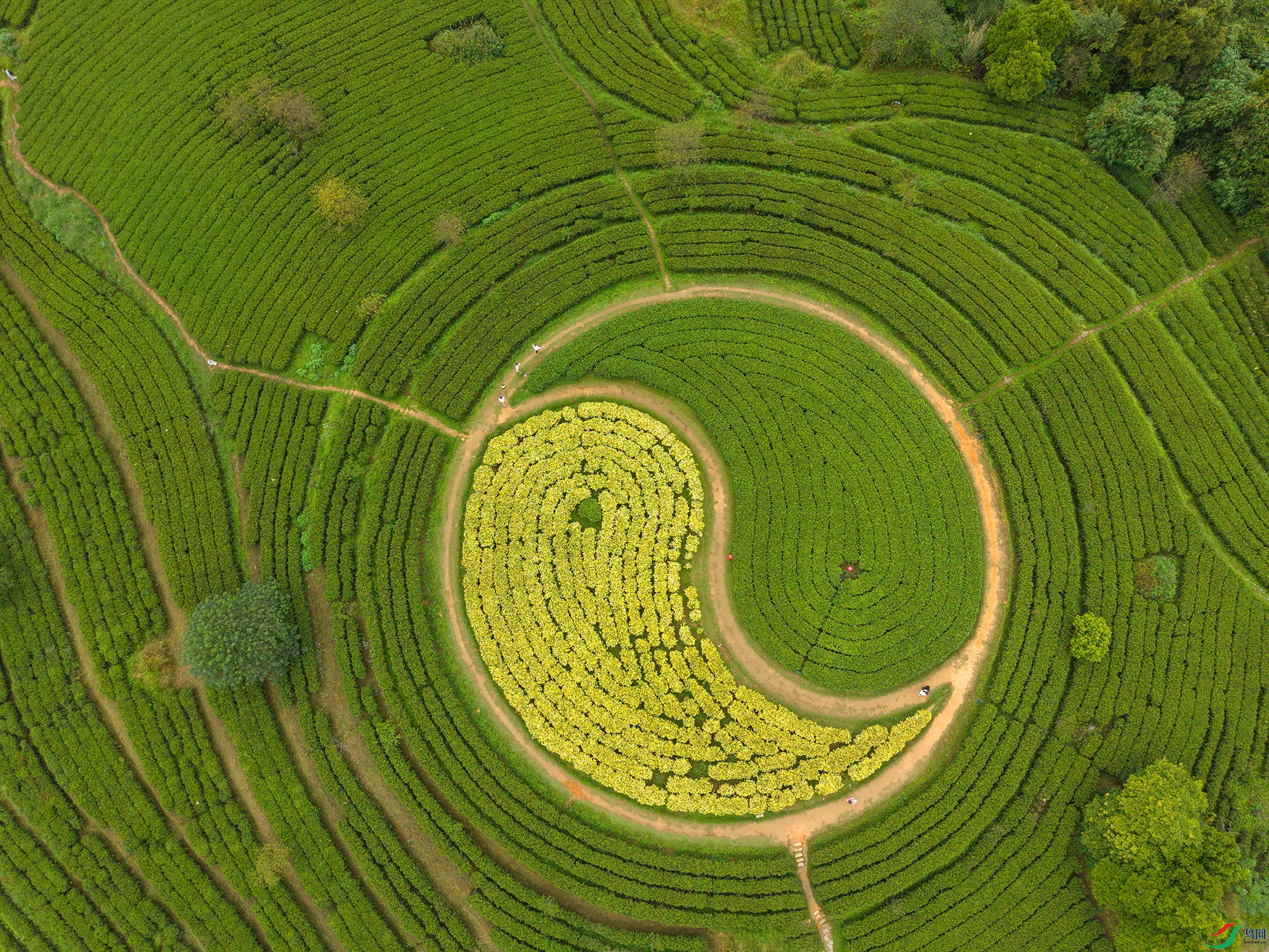 DJI_20251102100417_0018_D ����11.jpg