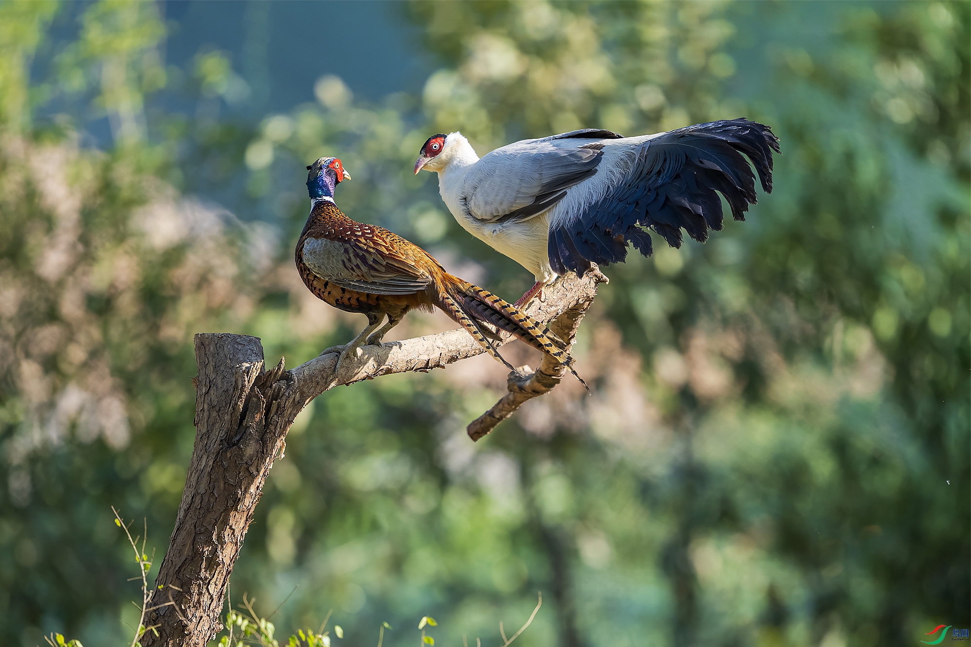 _DSC9851 ���� 2.jpg