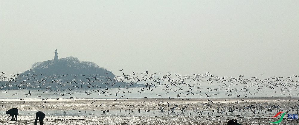 IMG_0470 (3)_����_����.jpg