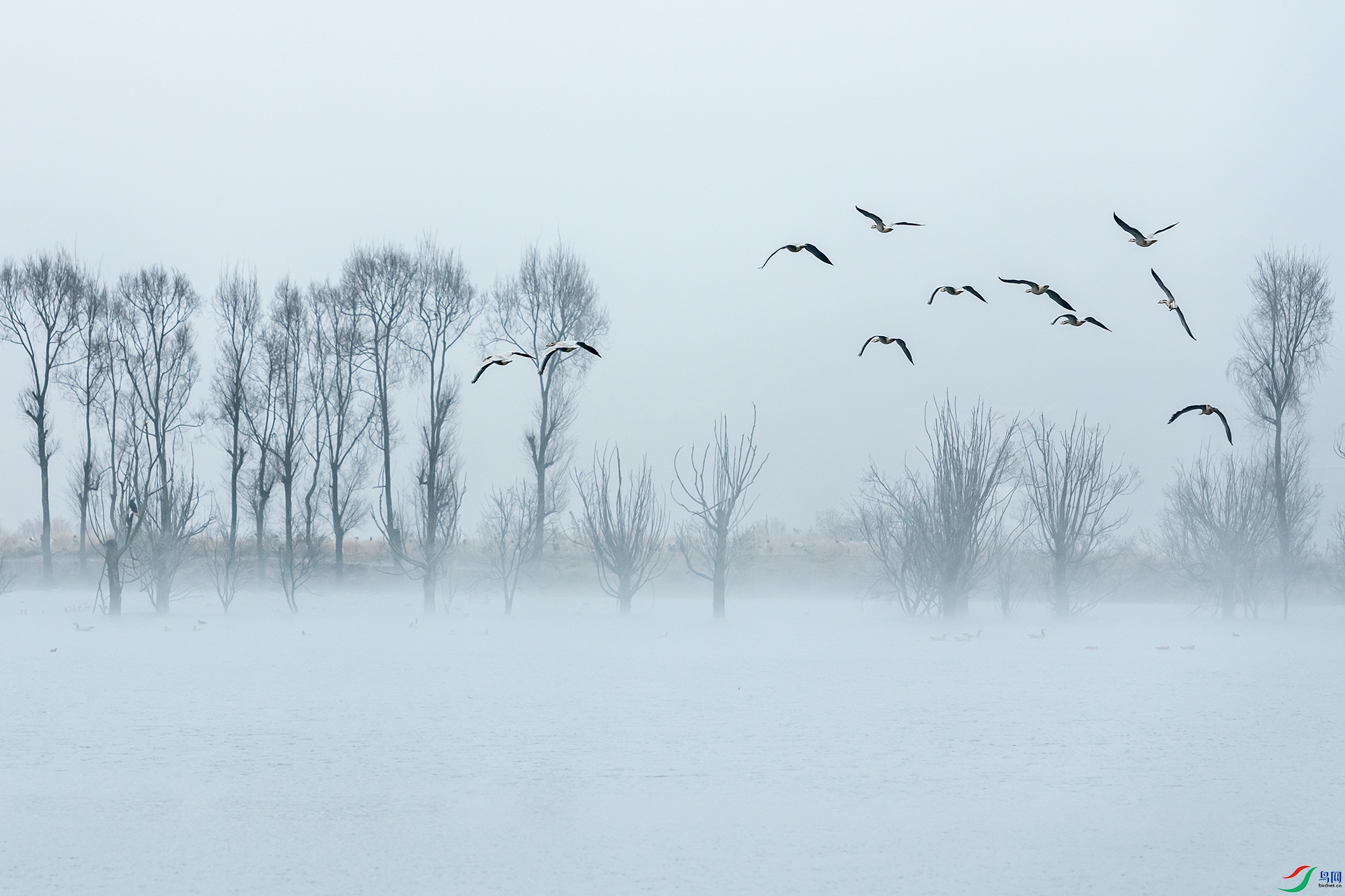 DSC_8925aa ����11.jpg