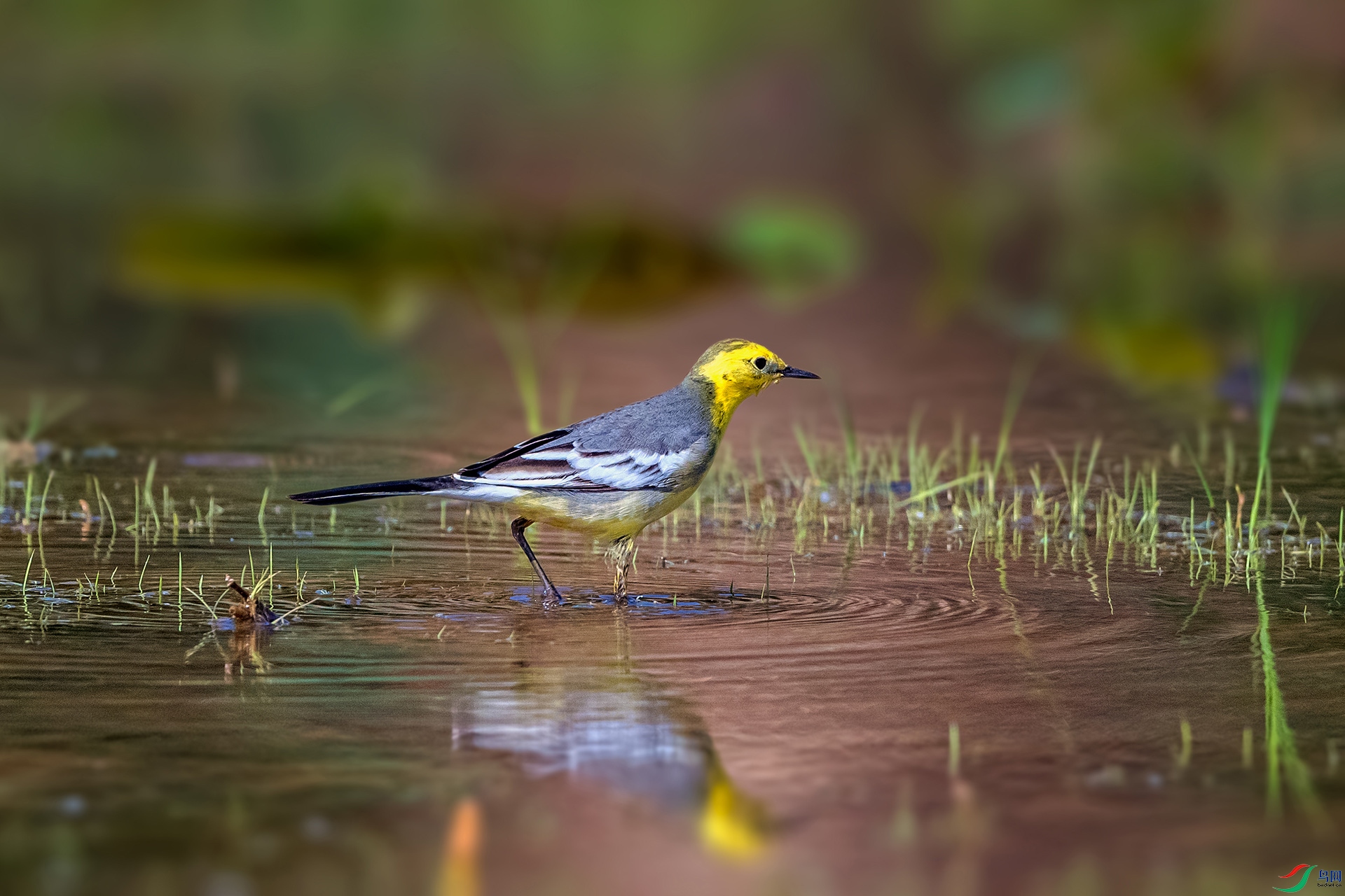 _AUU2440 ��ͷ�n�_(25.4.18).jpg