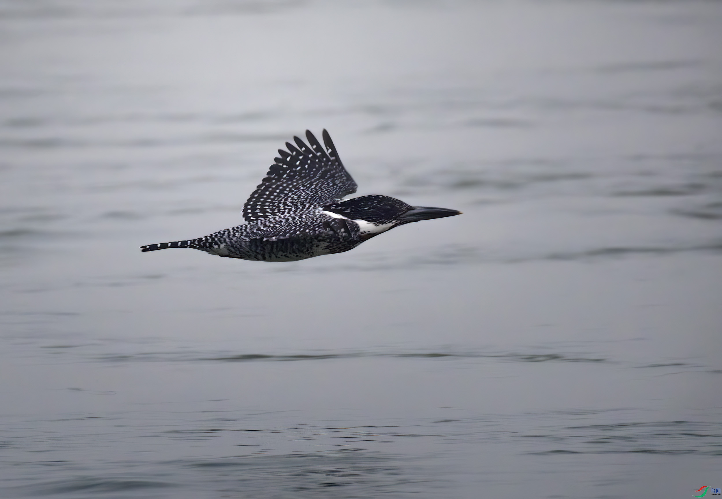 G47A8463-����ǿ-NR ����.jpg