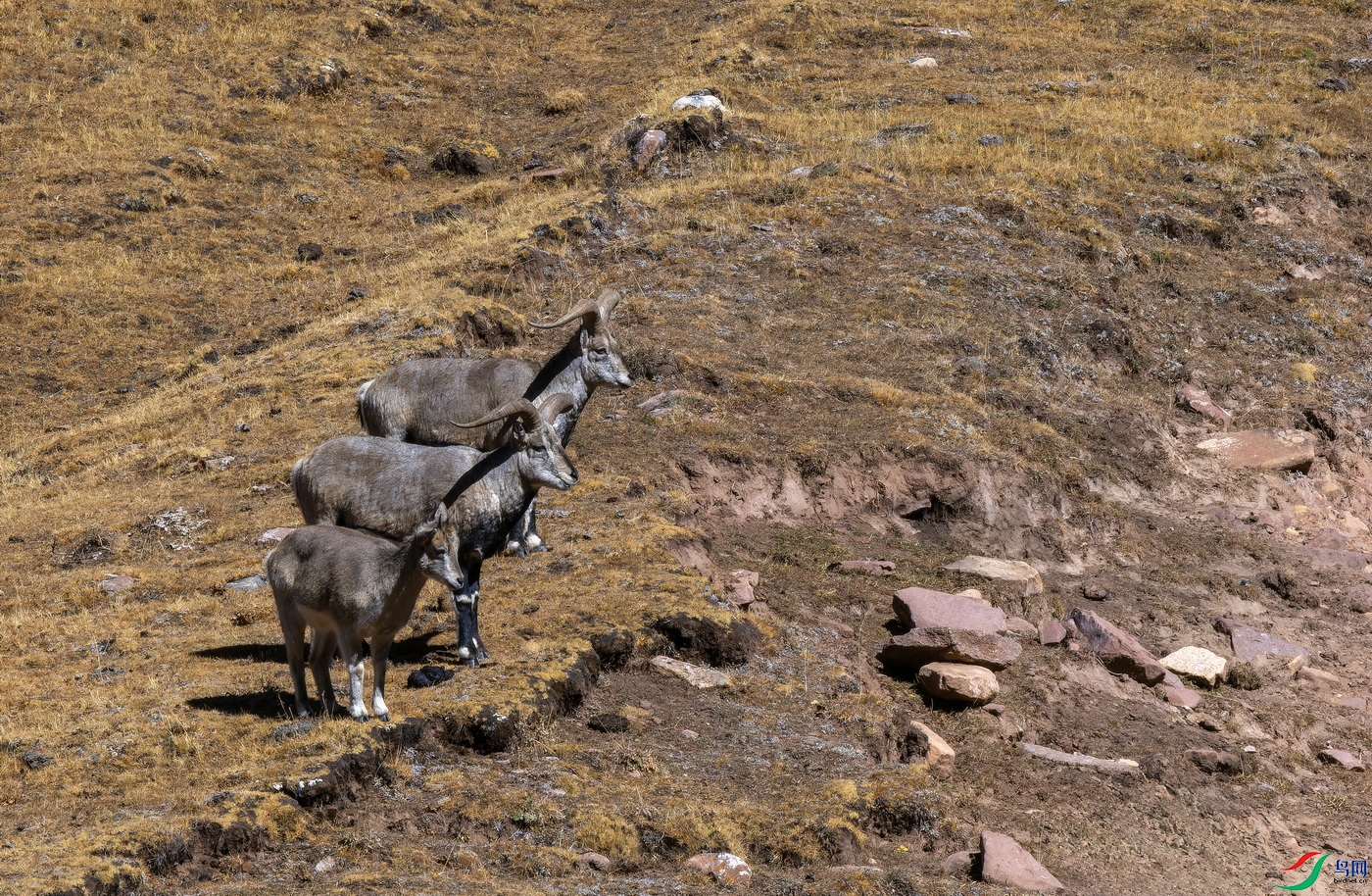 �������� (8)-01.jpg