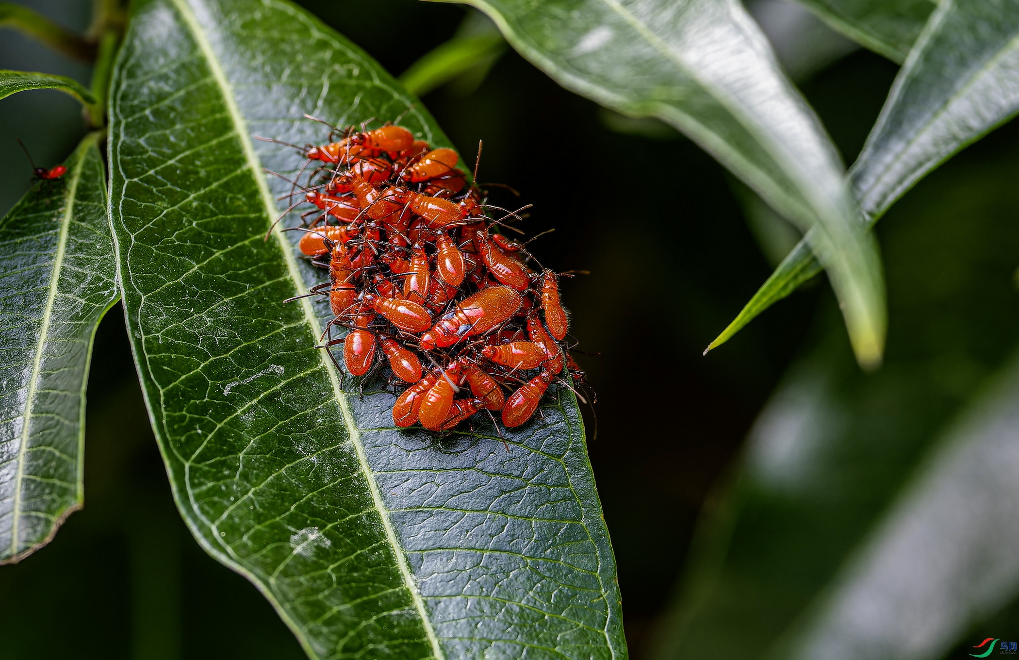 �޺��� (1)-01.jpg