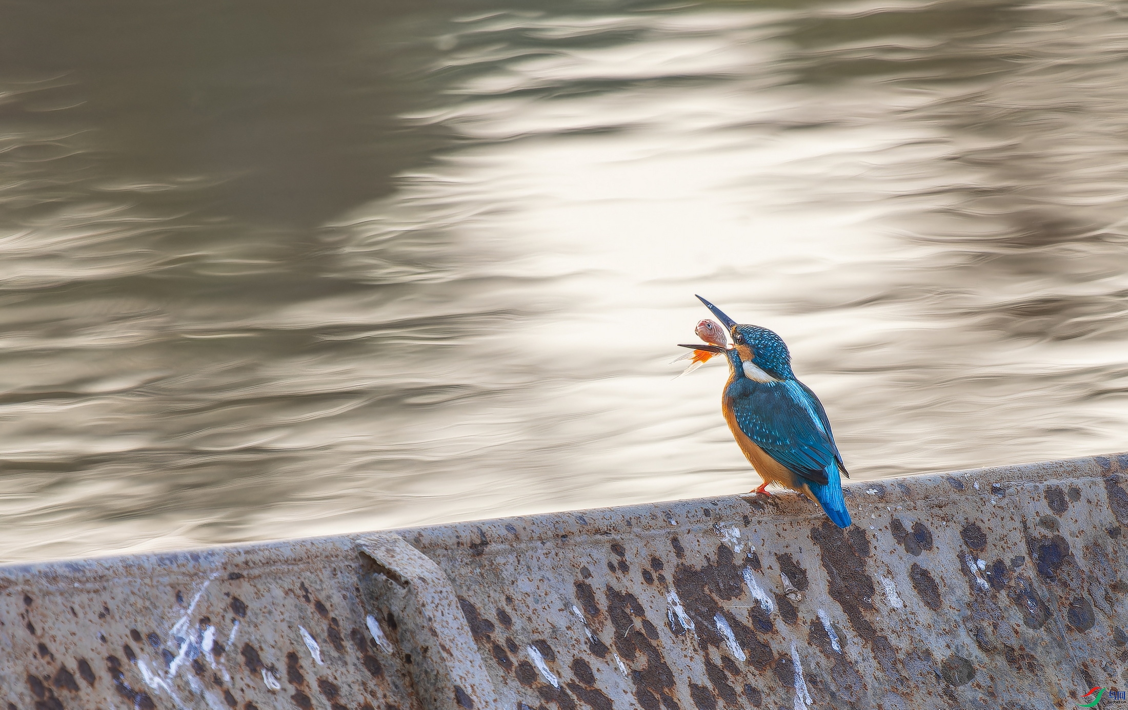 ��ͨ����4 (12)-01.jpg