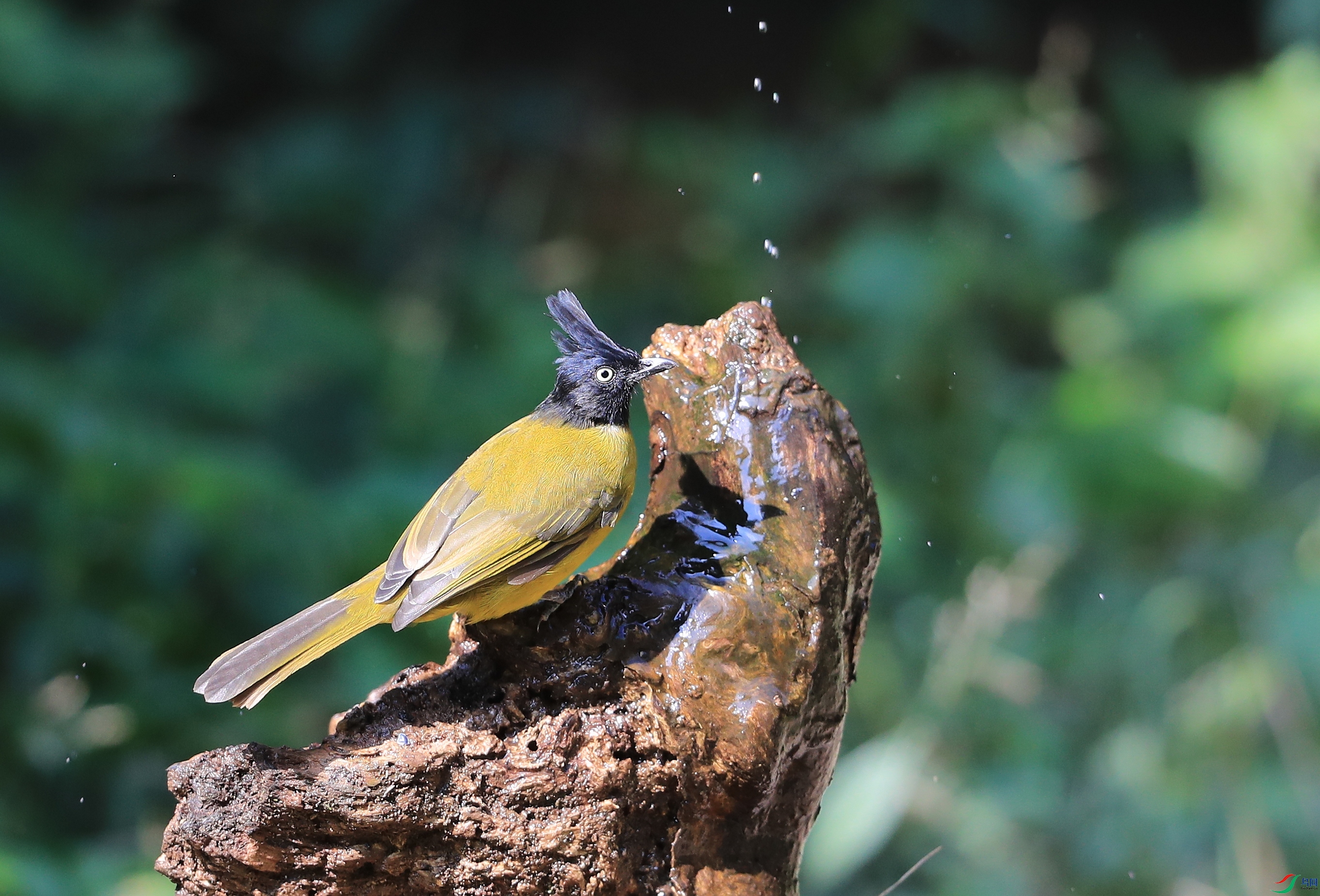 AI0I1868�� ��1.JPG