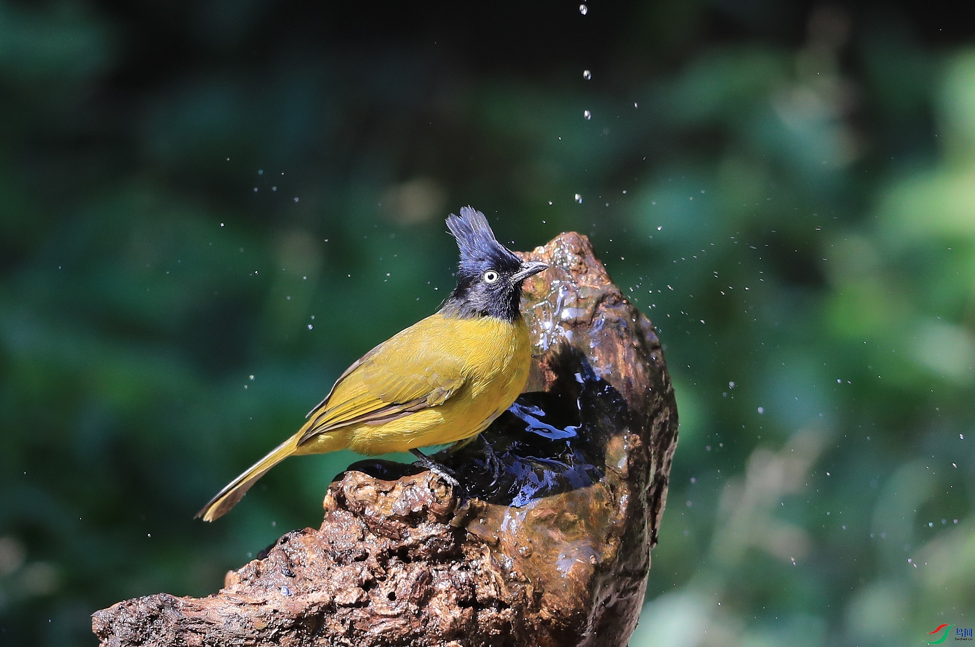 AI0I1875�� ��2.JPG