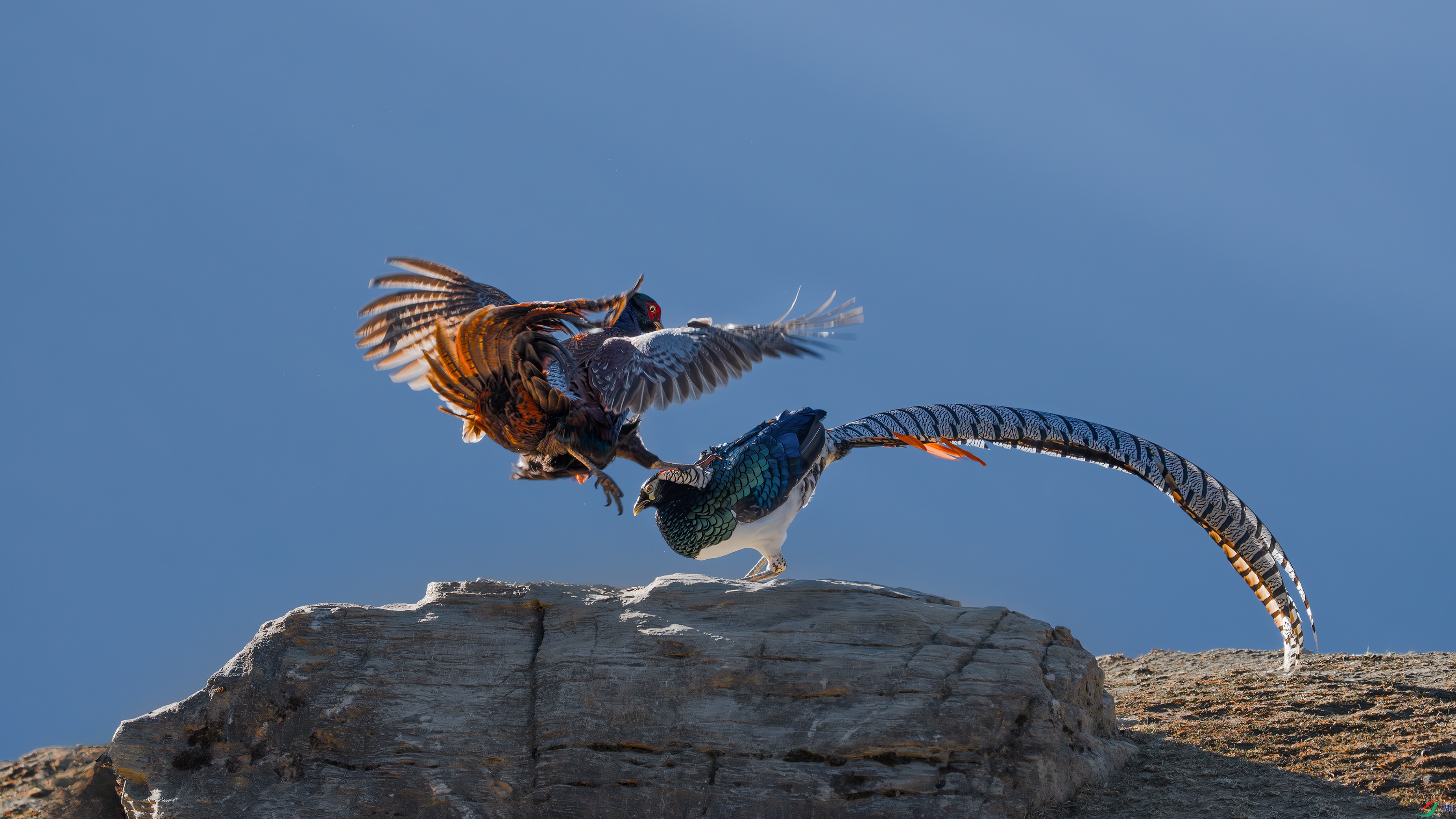 _DSC4814 ����.jpg