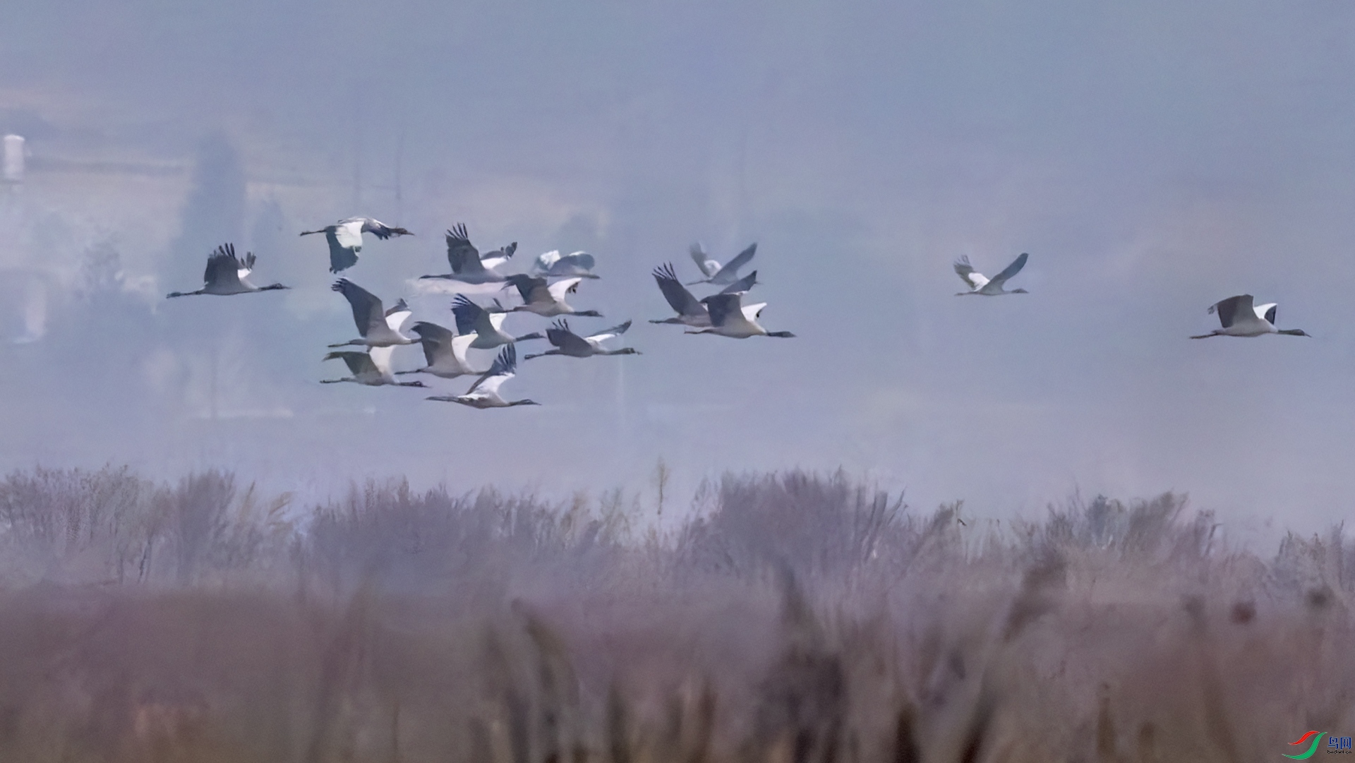 _DSC2853-DxO_DeepPRIME 3-1.jpg