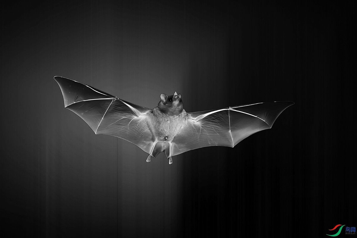 ��Ƭ 043���ڰף�.jpg