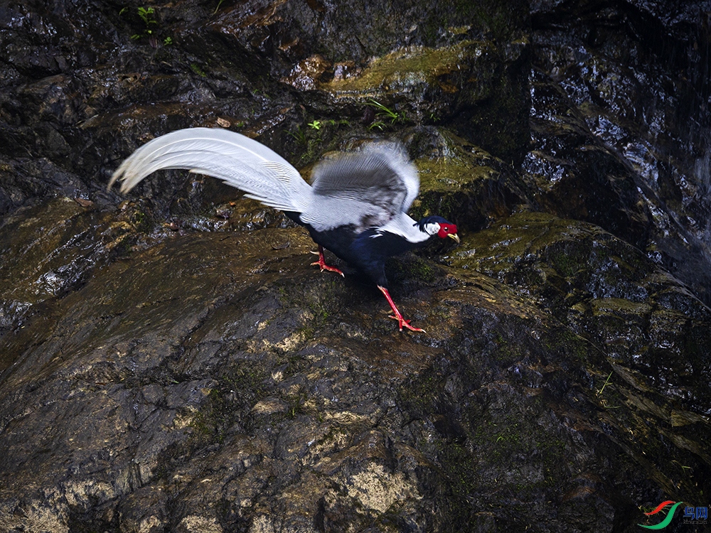 _B3A0485����-�±��� ����.jpg