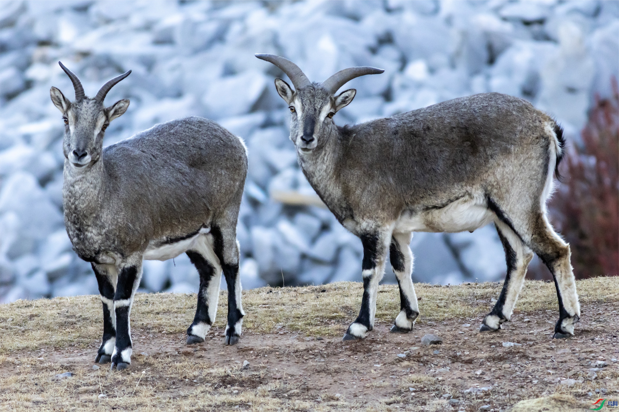 2N1A4090 ����OK.jpg