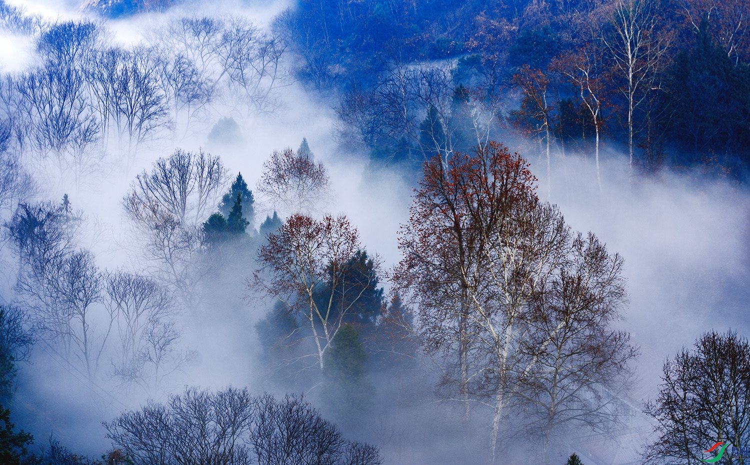 XSX_3690-Pano-1 ���� 2.jpg