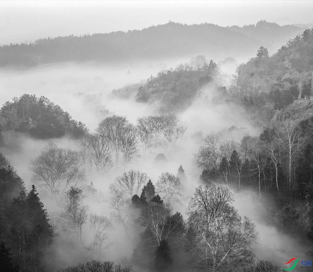 DJI_20251218074028_0310_D-Pano ���� 2.jpg