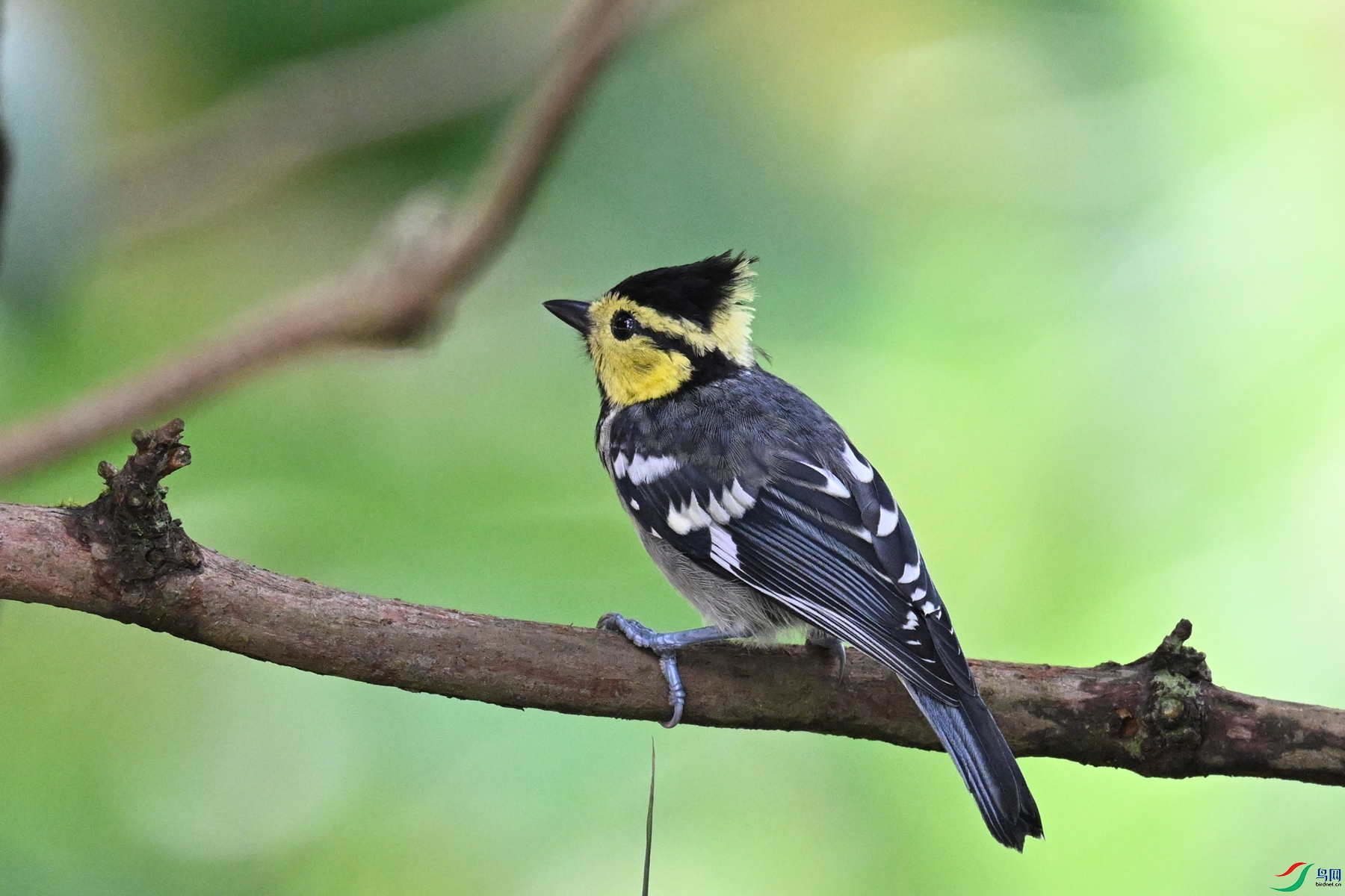 DSC_0012.JPG