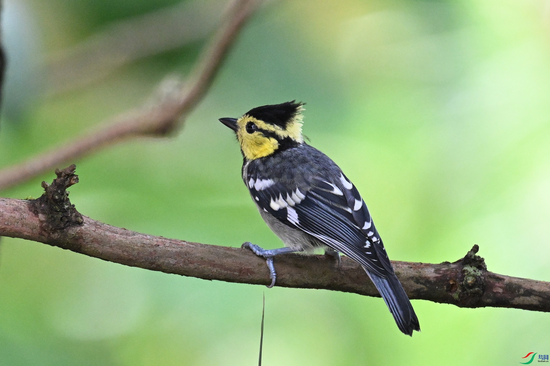 DSC_0013.JPG