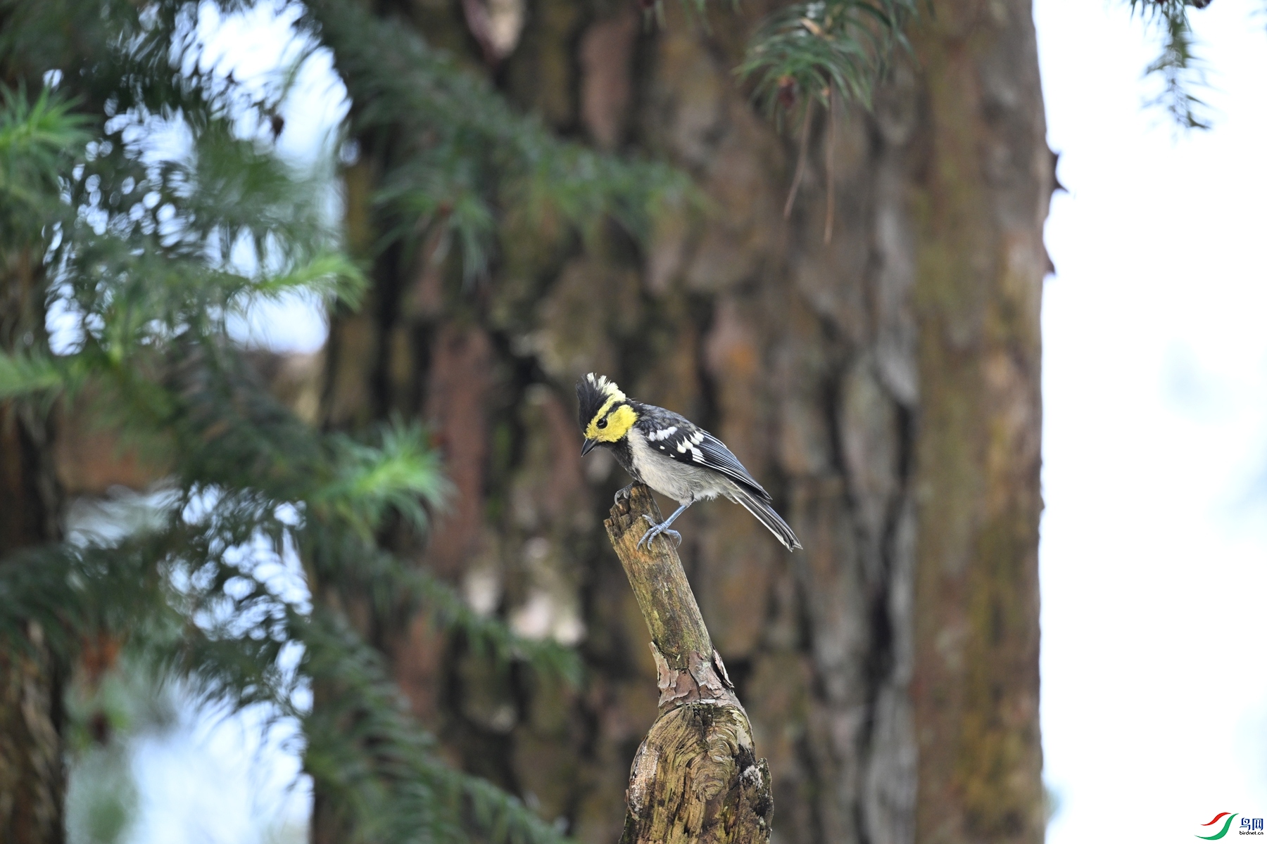 DSC_0082.JPG