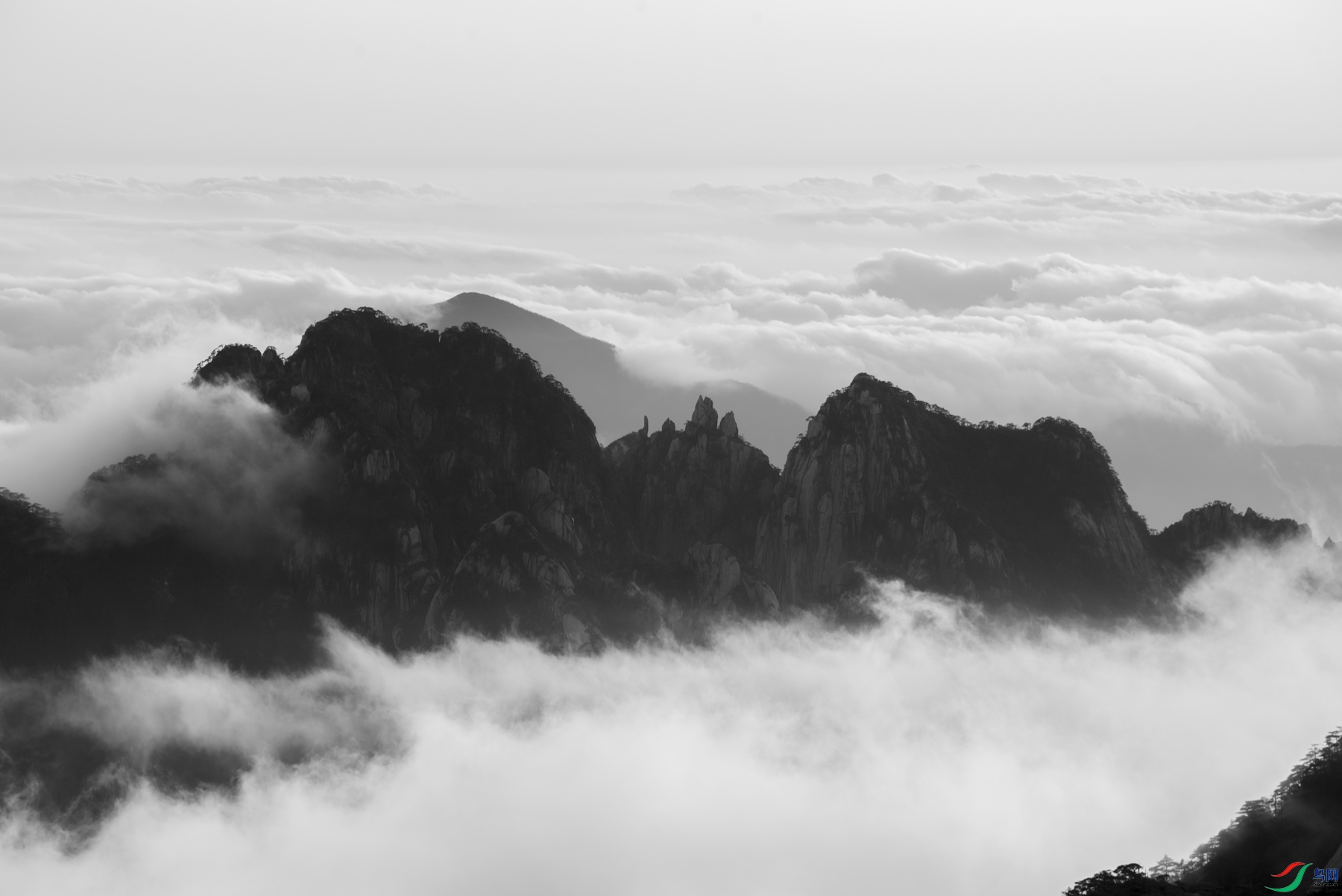 DSC_6262 ����_����.jpg