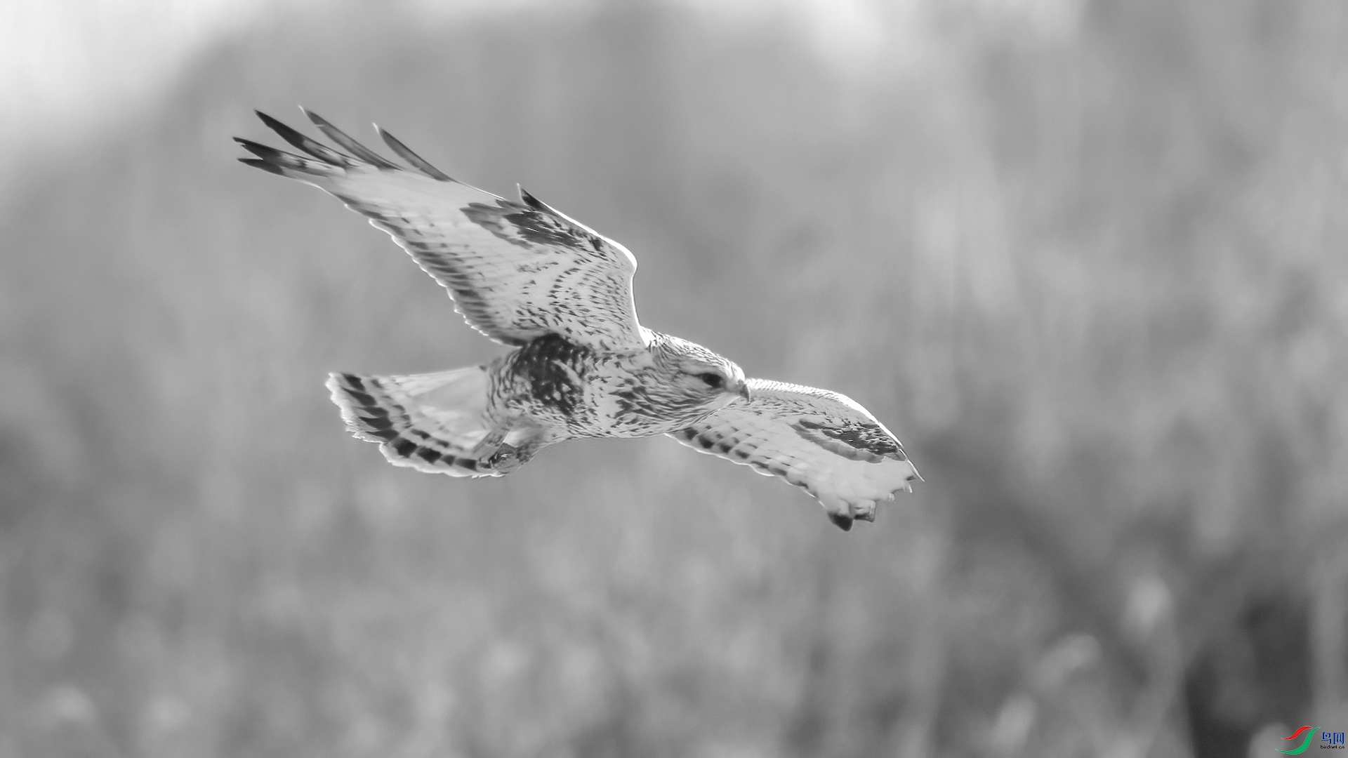 _DSC7492 ����.jpg