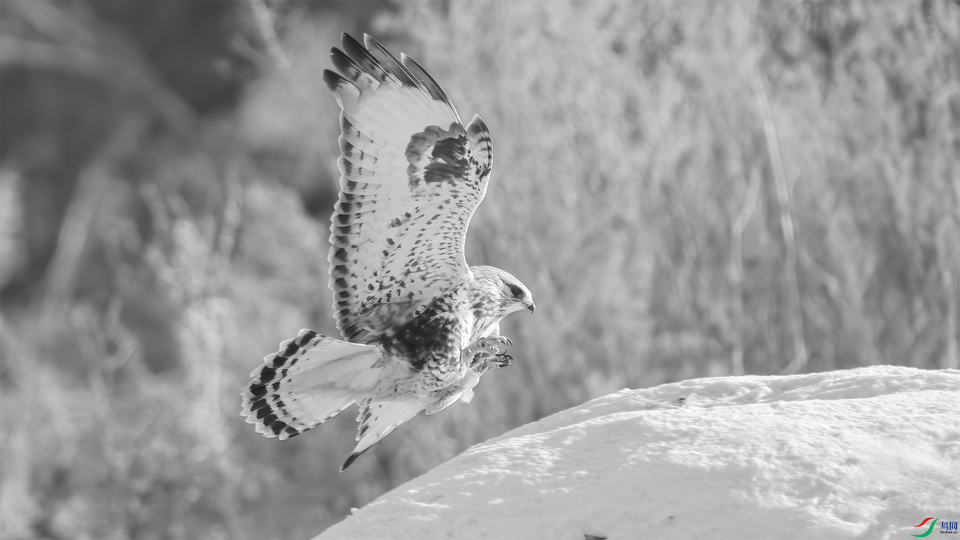 _DSC7506 ����.jpg