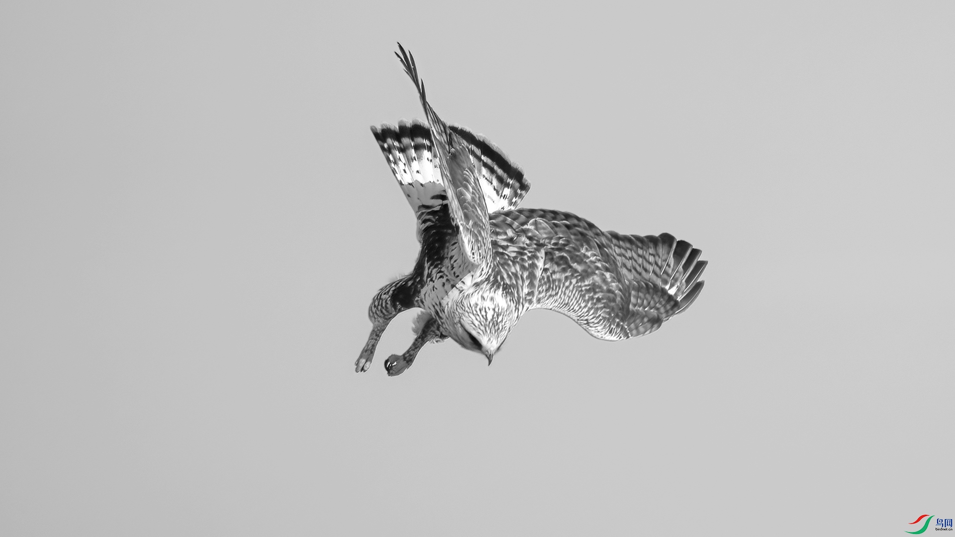 _DSC7571 ����.jpg