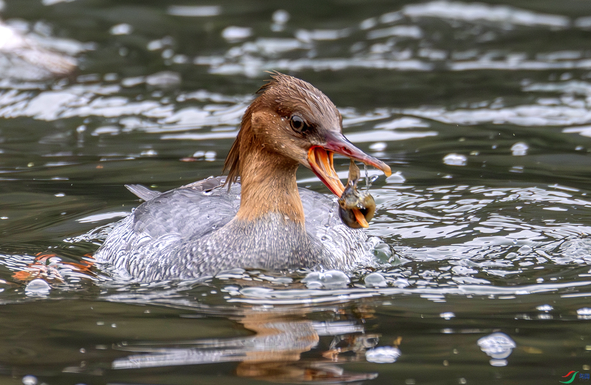 407A4721-----33  .jpg