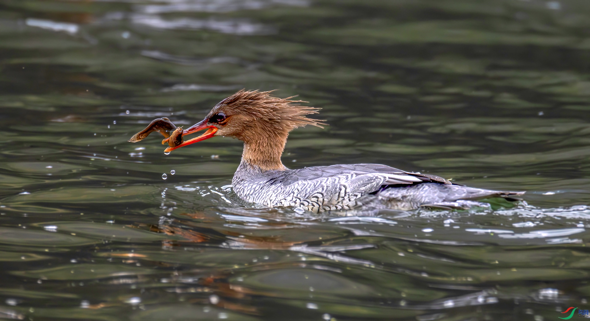 407A4839----33  .jpg