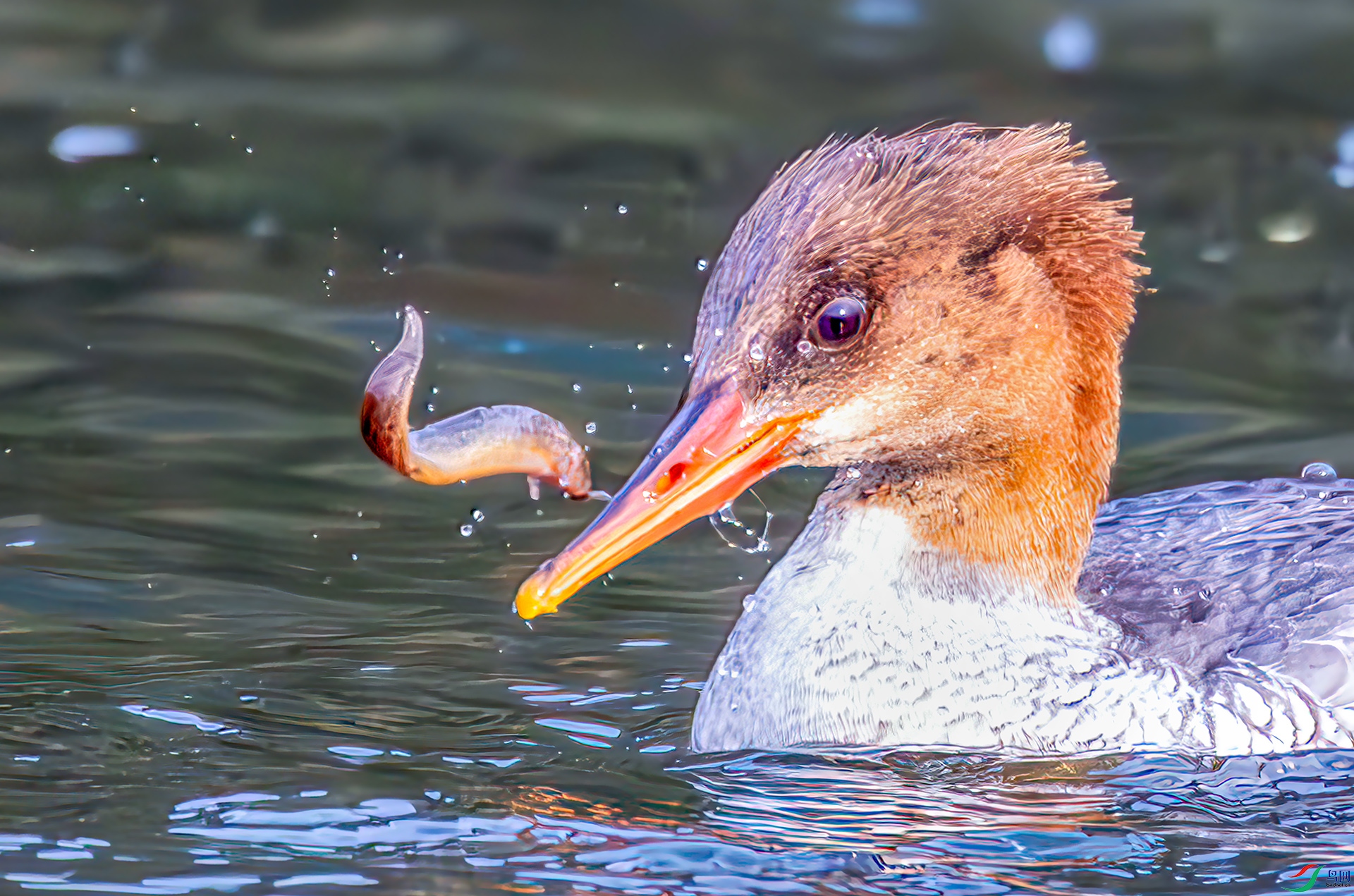 407A7630----33  .jpg