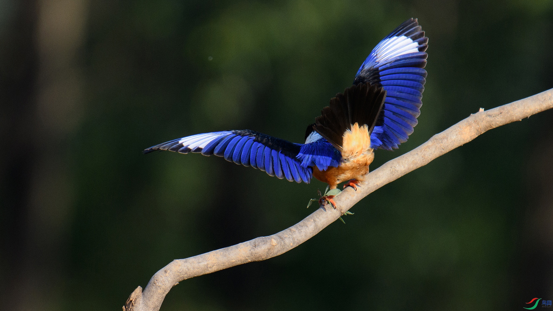 DSC_8628-20240529�ü� .jpg