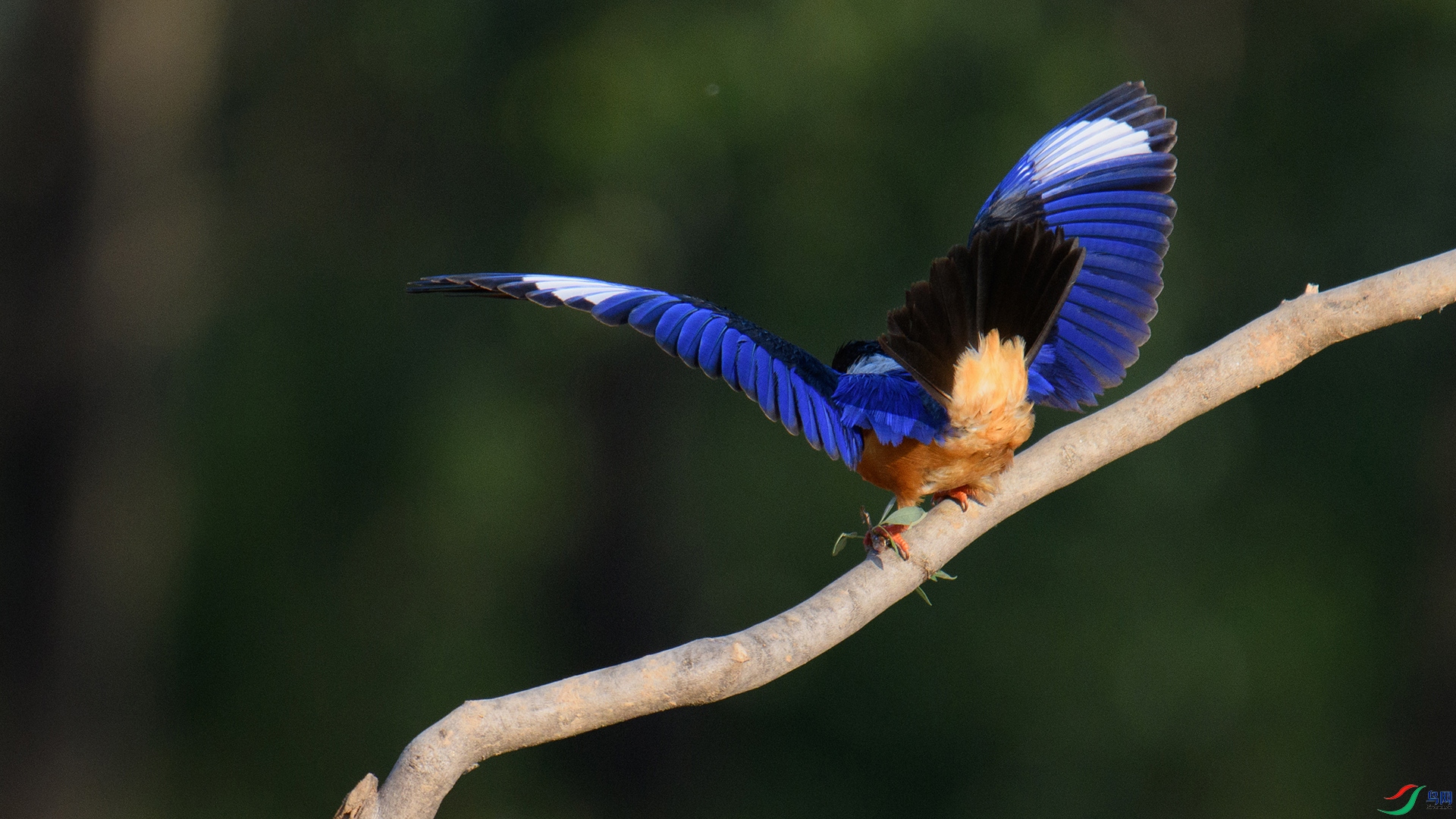 DSC_8629-20240528�ü� .jpg