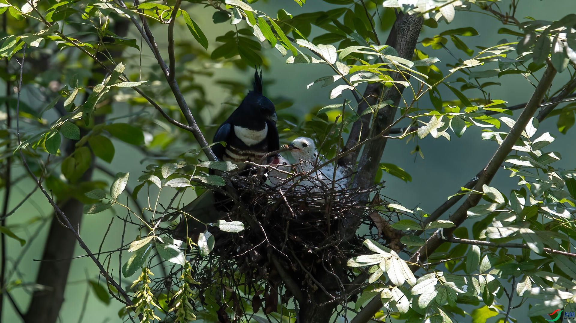 _WGB0015 ����.jpg