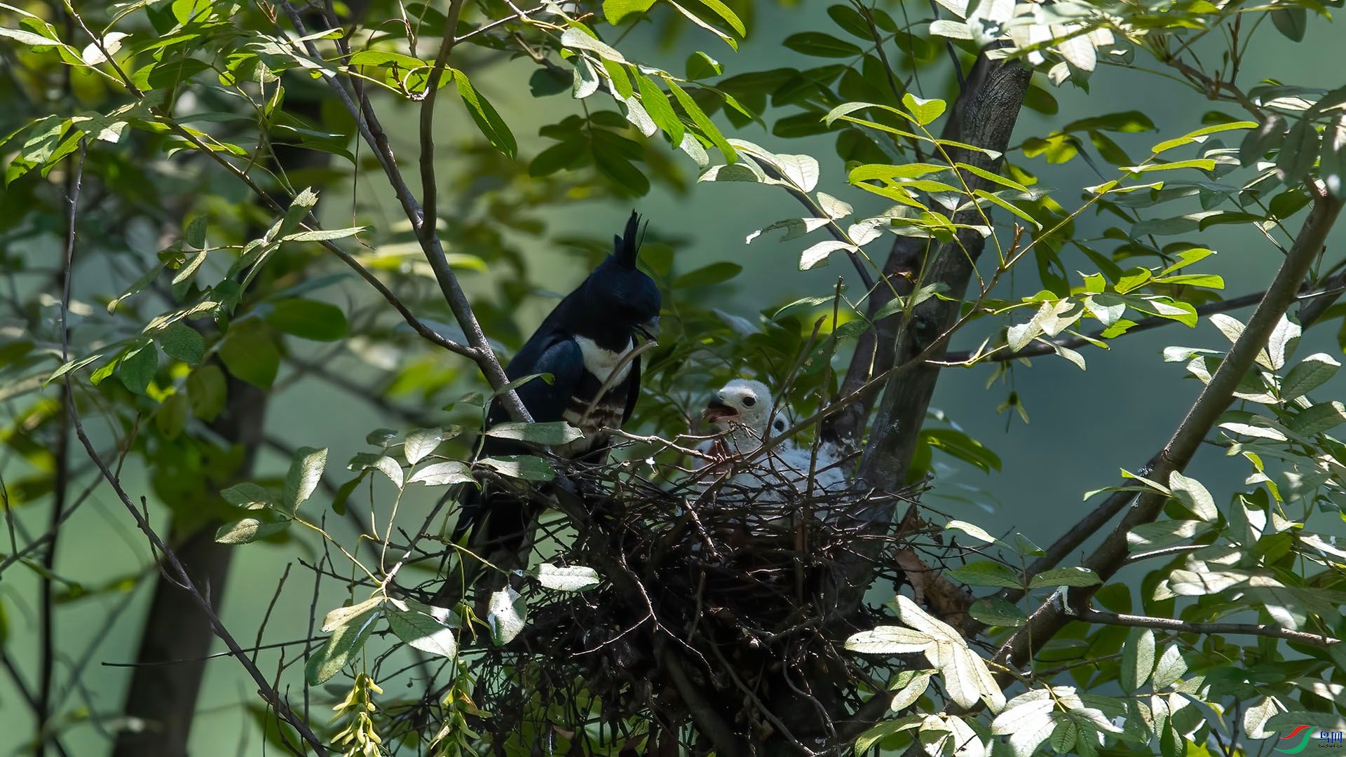 _WGB0064 ����.jpg