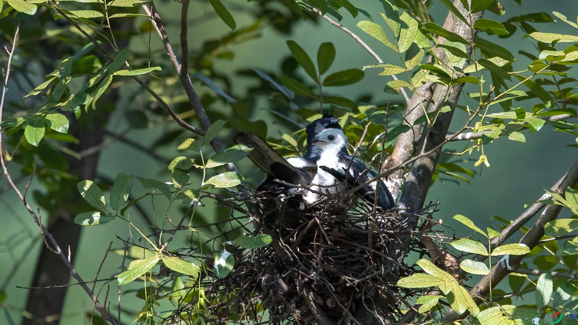 _WGB0350 ����.jpg