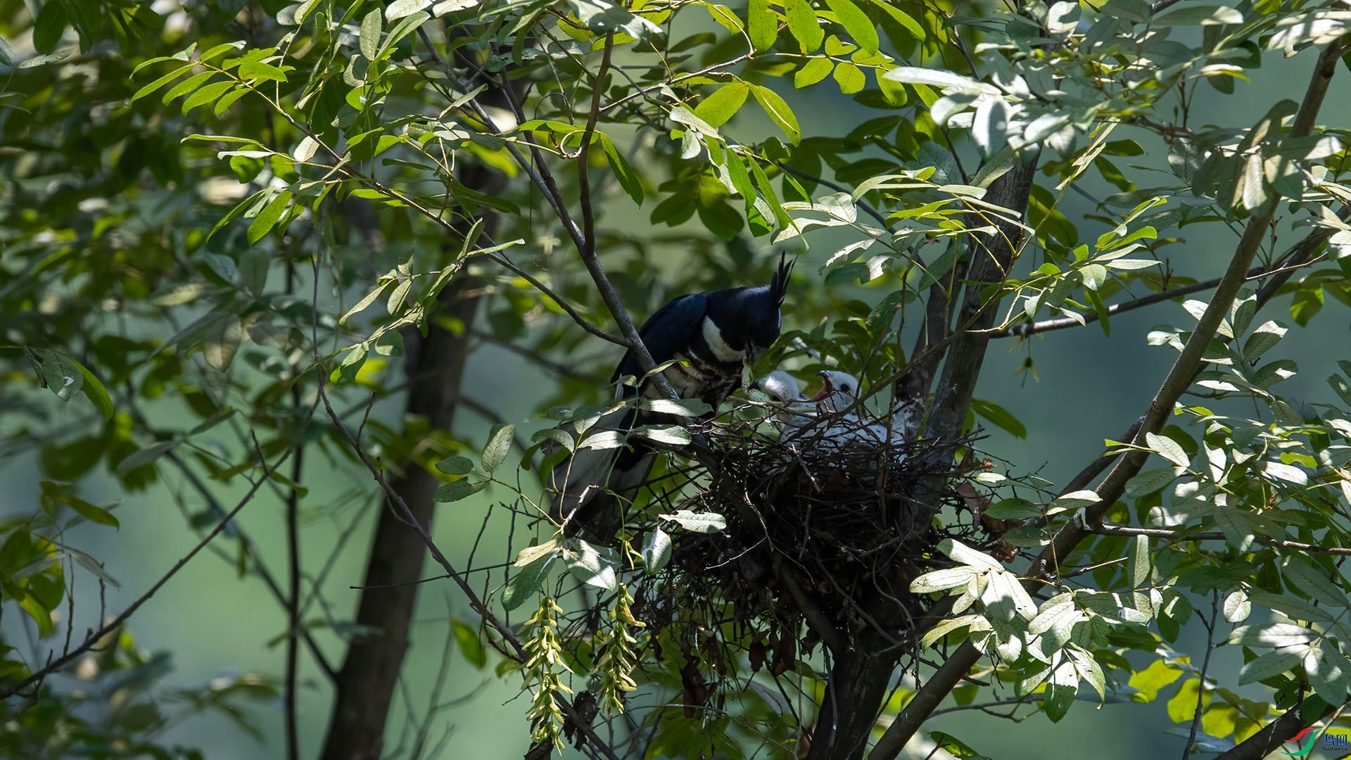 _WGB9883 ����.jpg