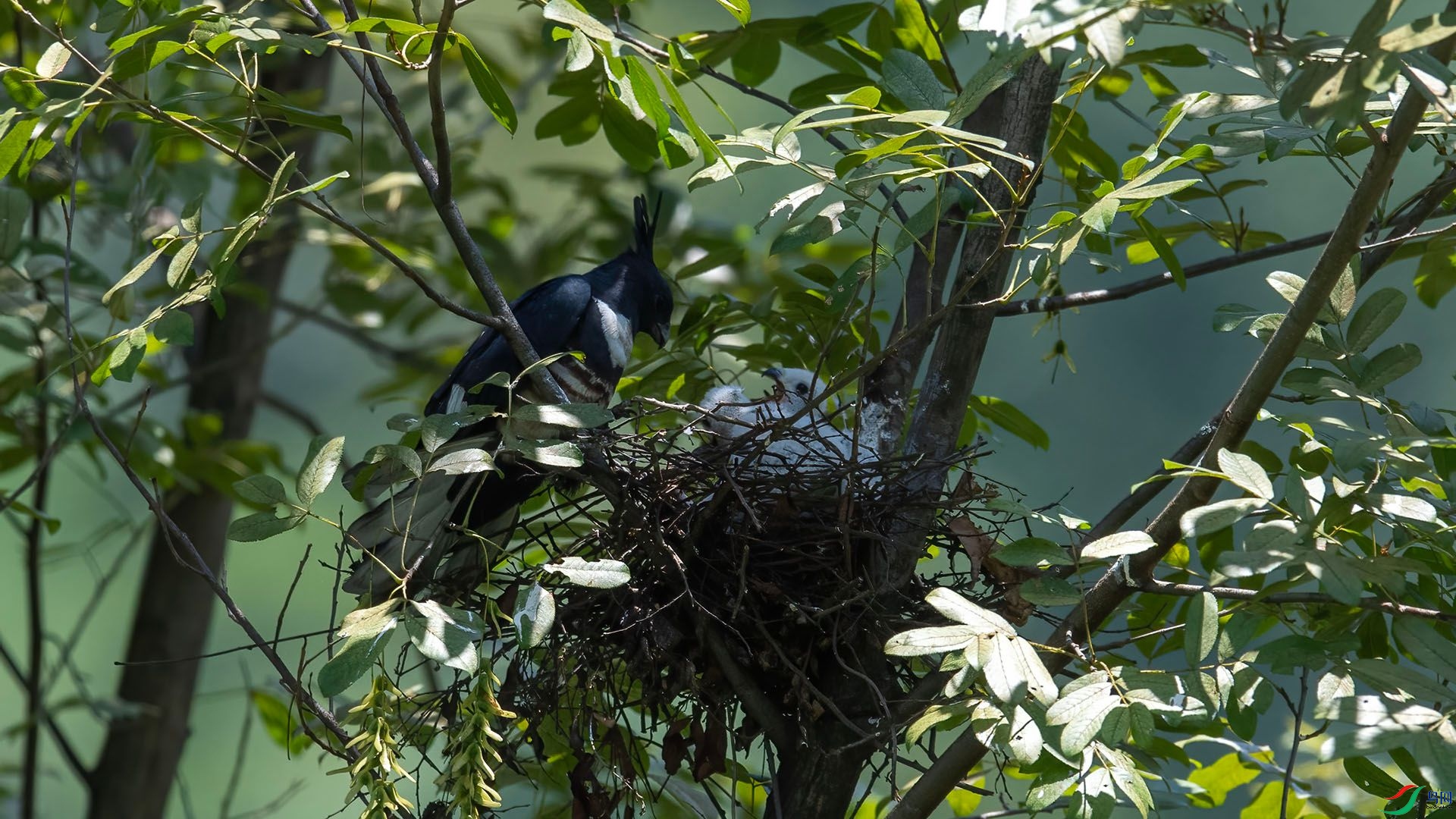 _WGB9899 ����.jpg