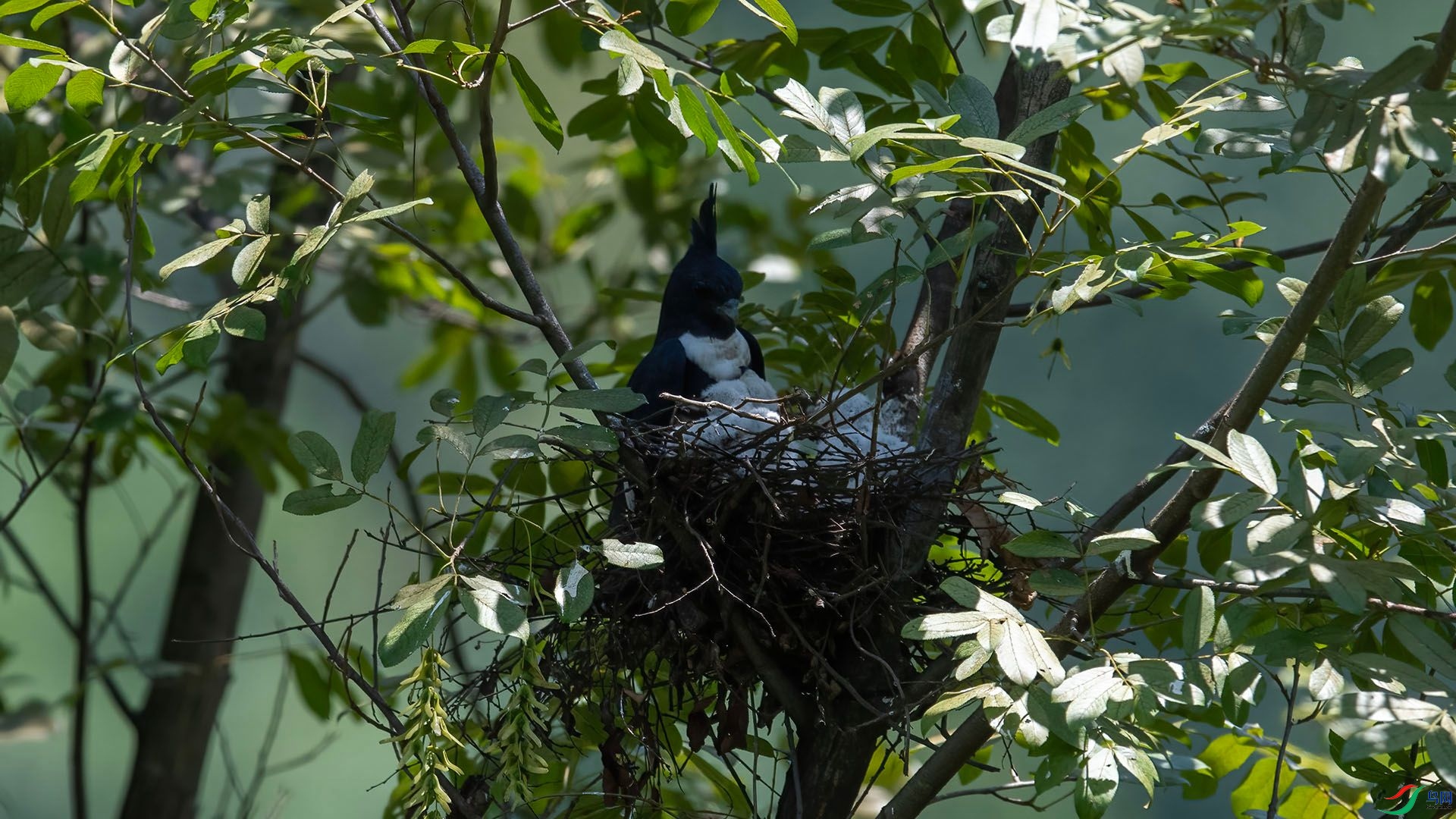 _WGB9934 ����.jpg