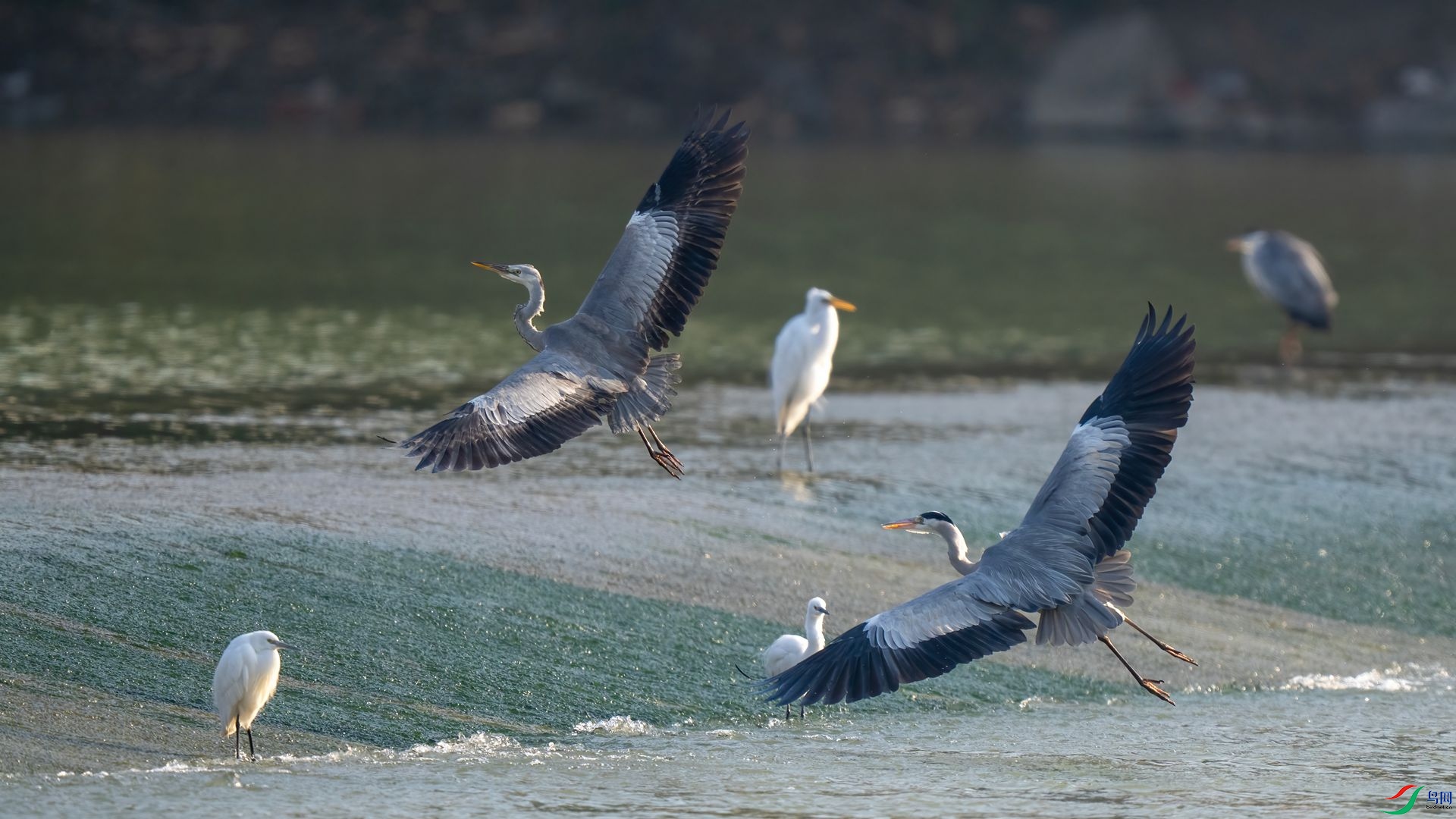 DSC06280 ����.jpg