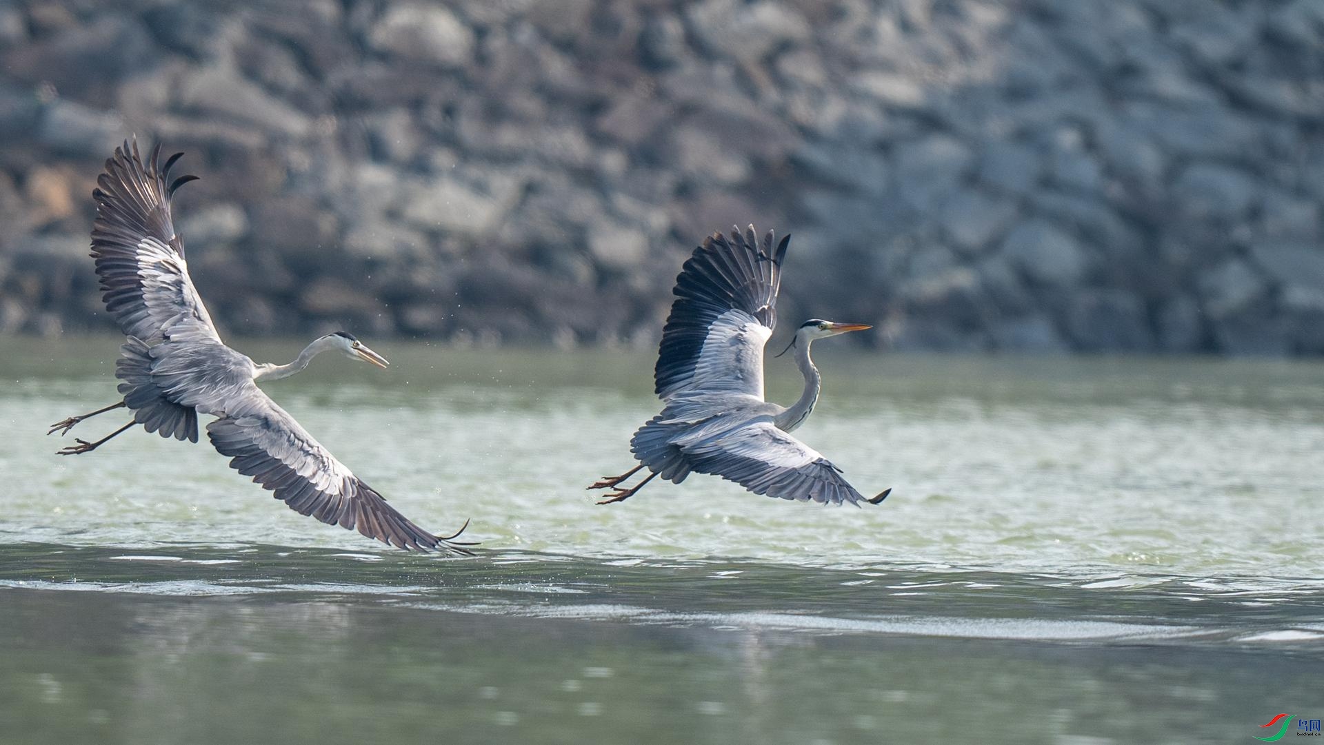 DSC07362 ����.jpg