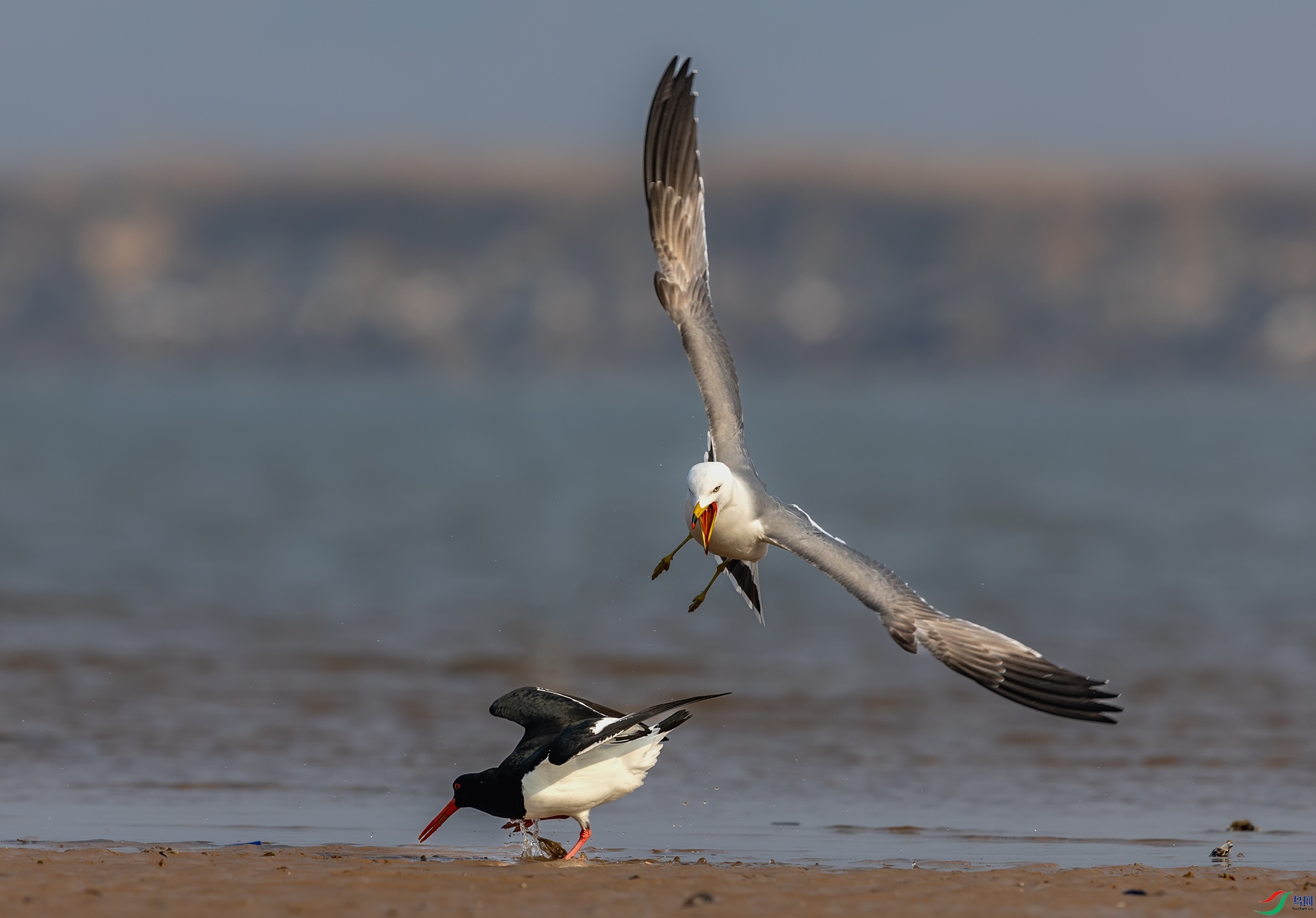 ��βŸ������