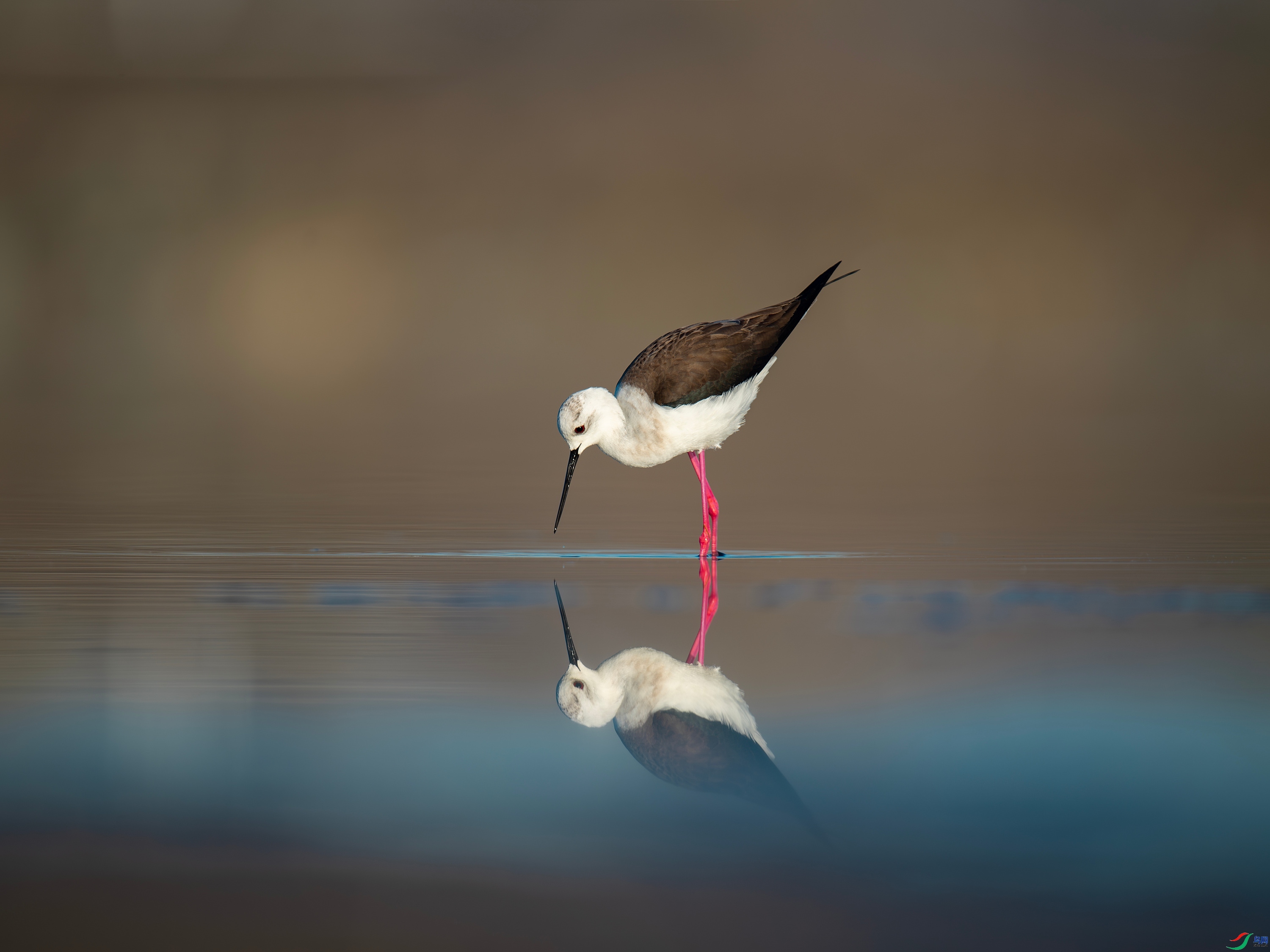 �ڳ᳤���� (2).jpg