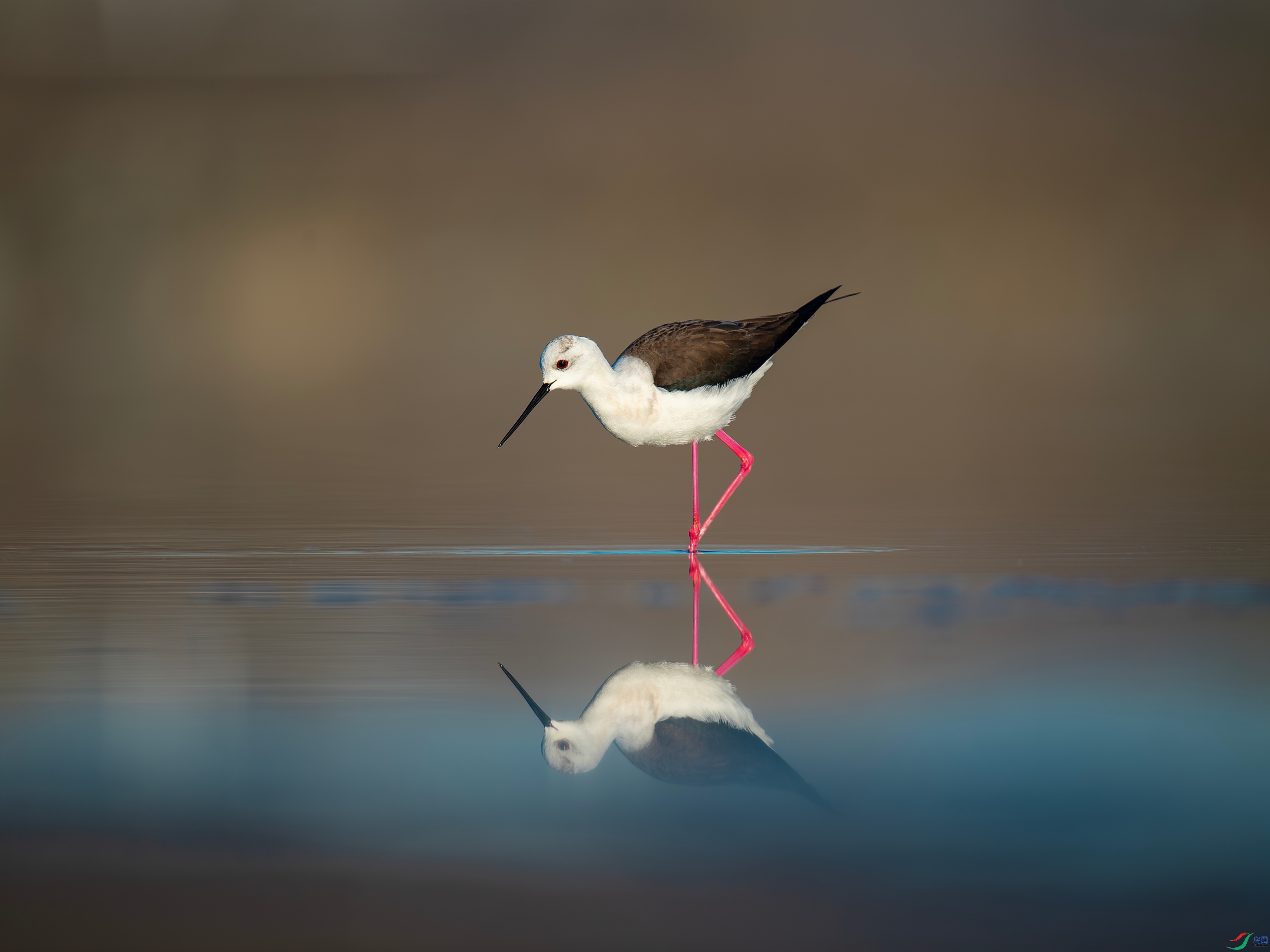 �ڳ᳤���� (3).jpg