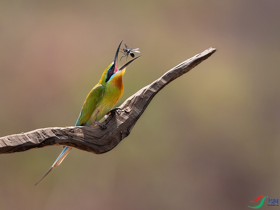 6H7A8197 ����.jpg