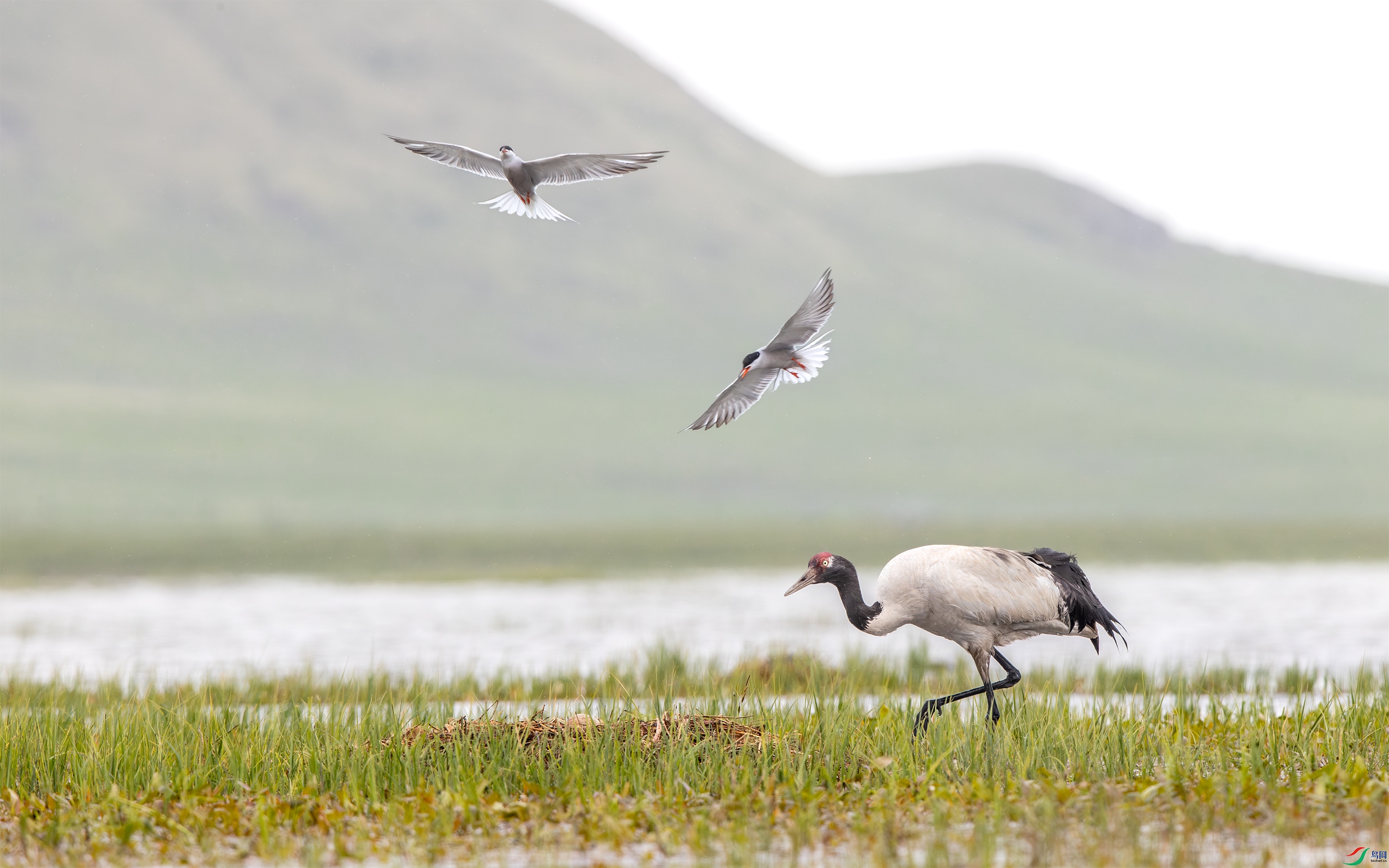 A15I1573 ����.jpg