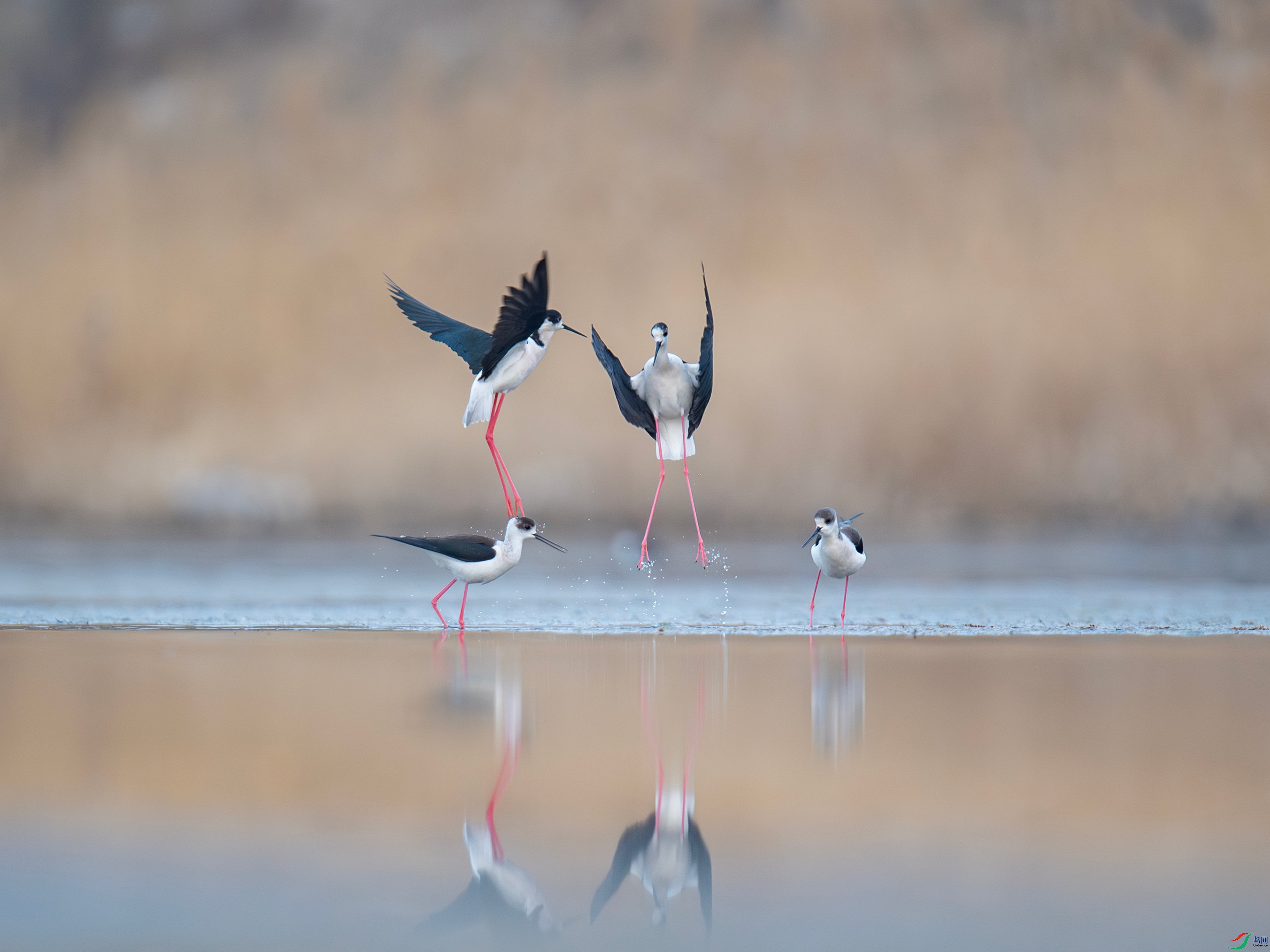 �ڳ᳤���� (6).jpg