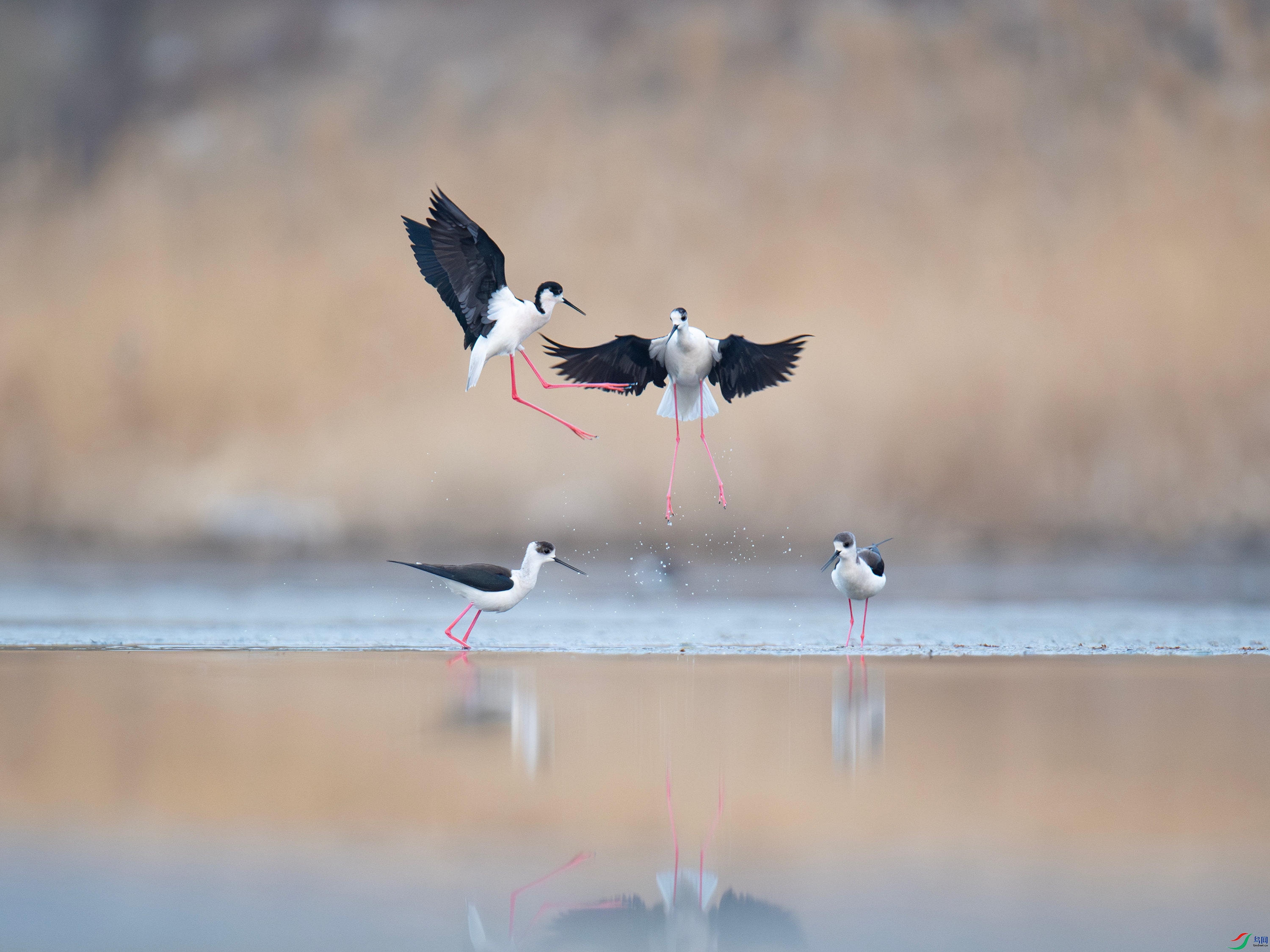 �ڳ᳤���� (7).jpg